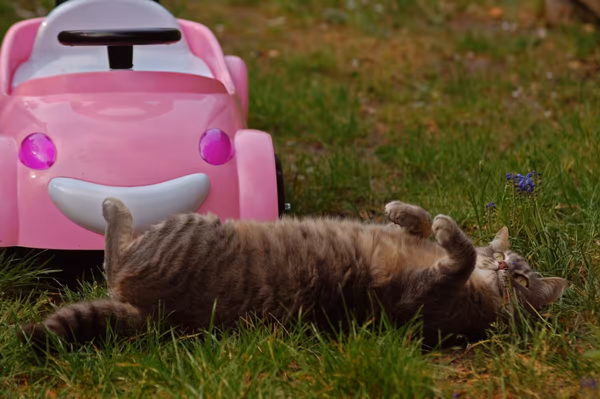 a terrible accident
