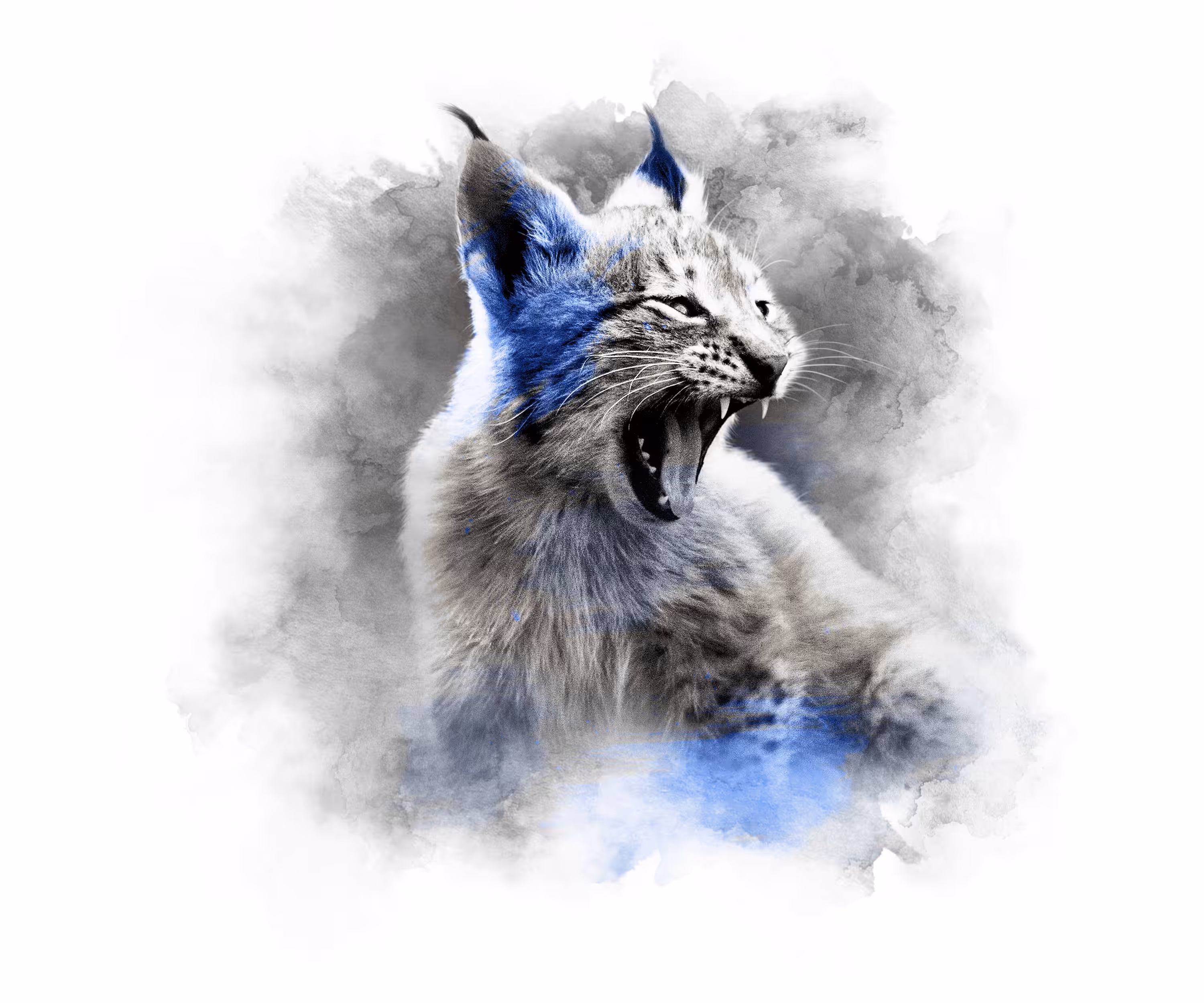 BLUE BABY - LYNX