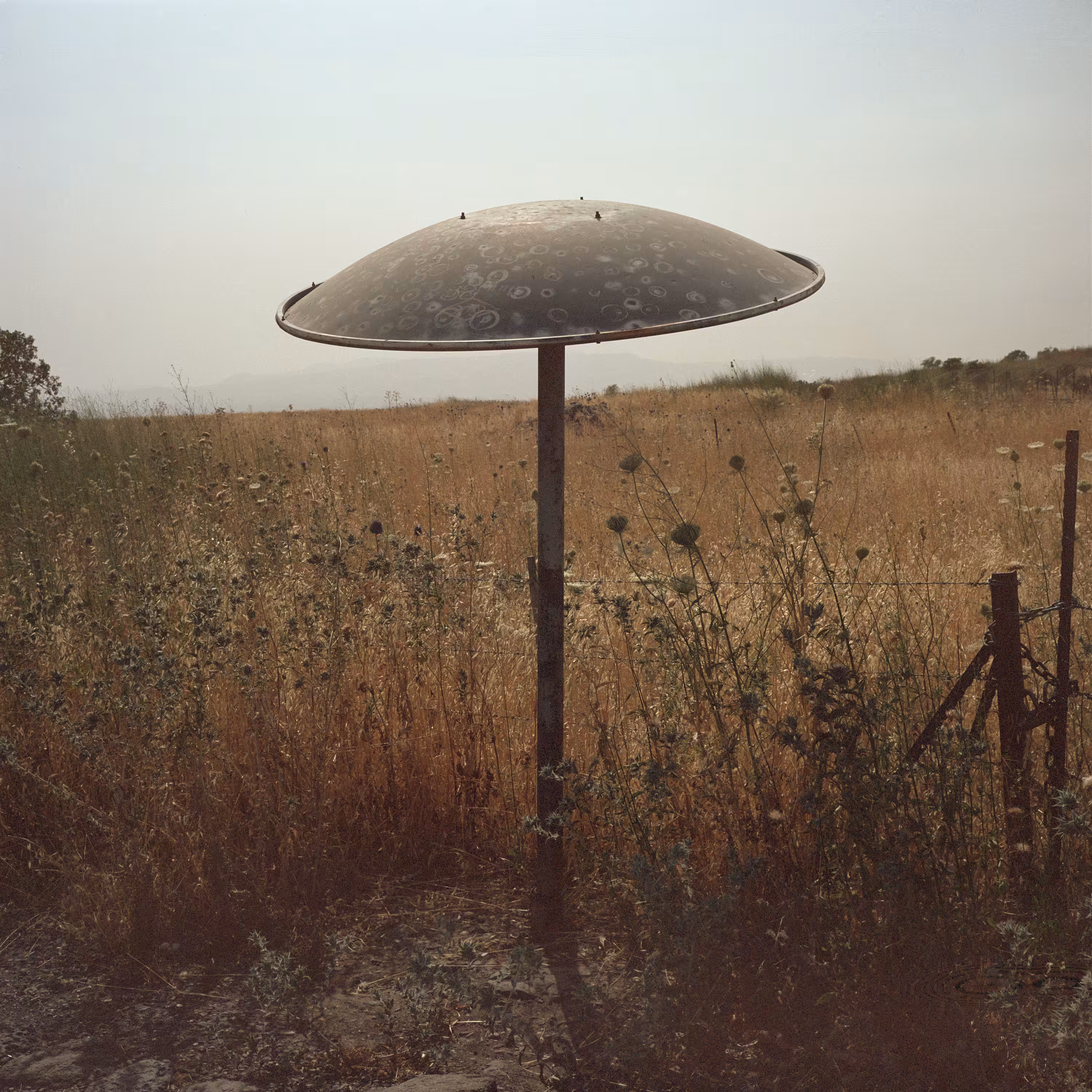 Sun Umbrella. Golan Heights, 2019