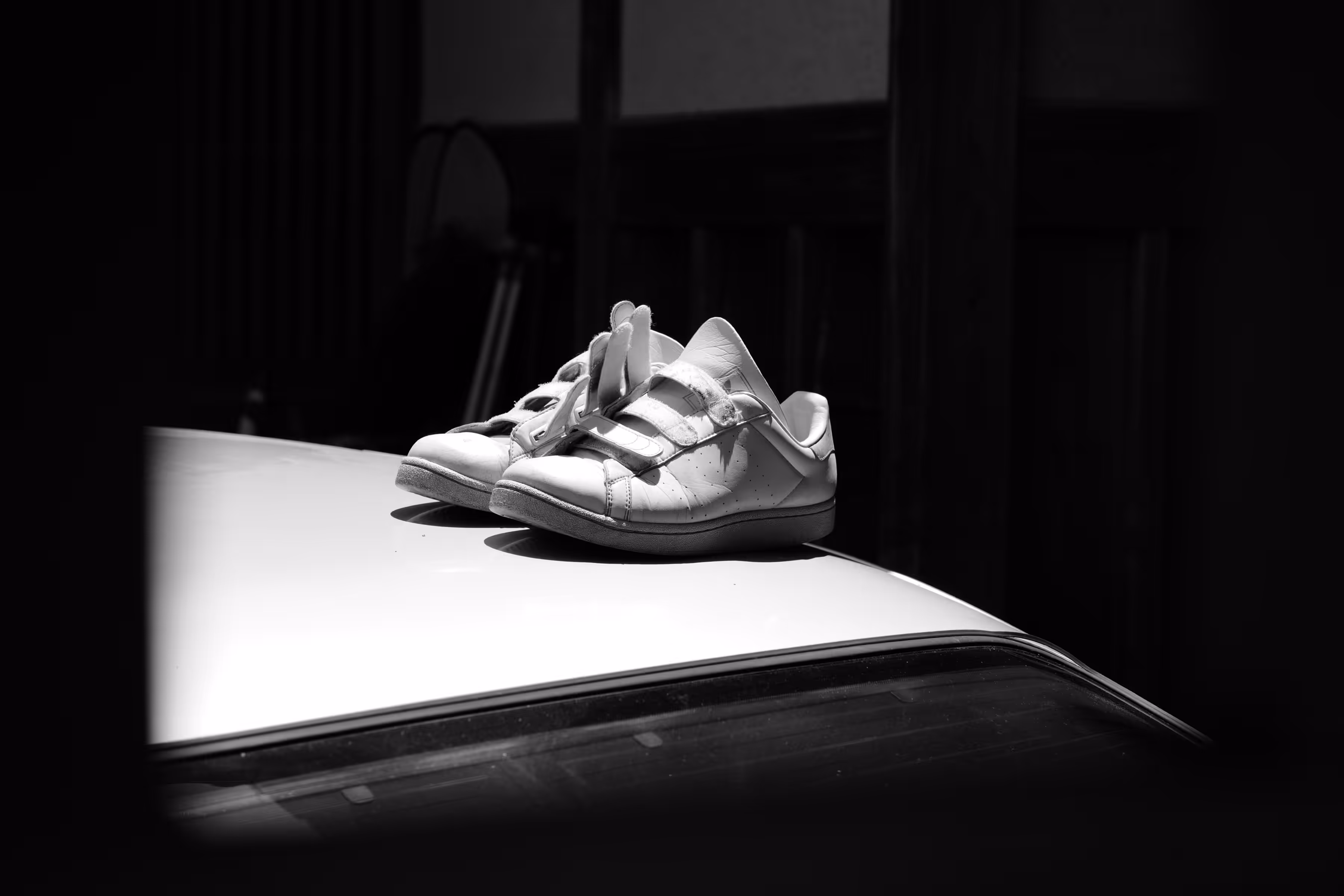Wabi-Sabi #5 - Twins