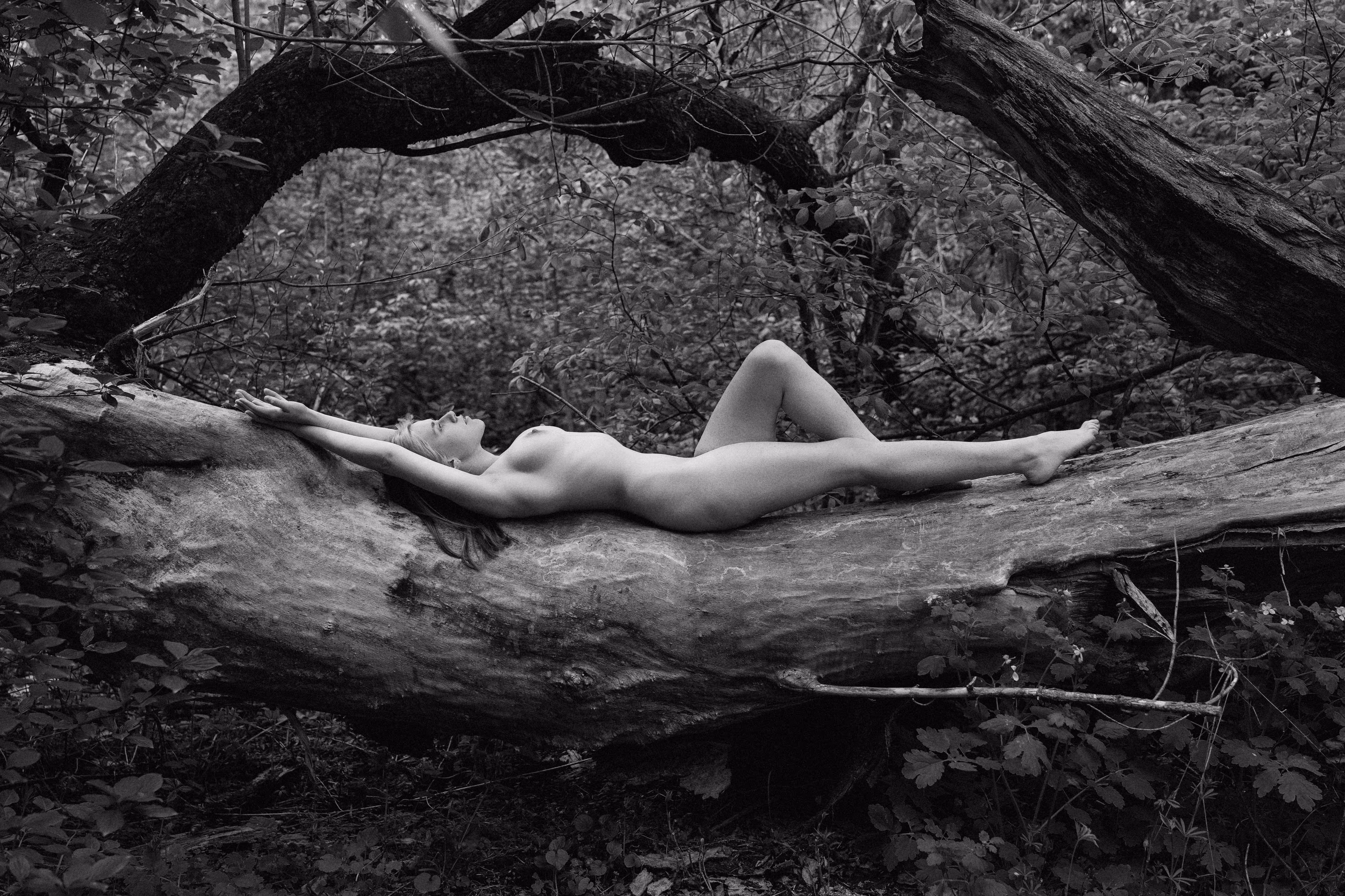 Where Roots Sleep