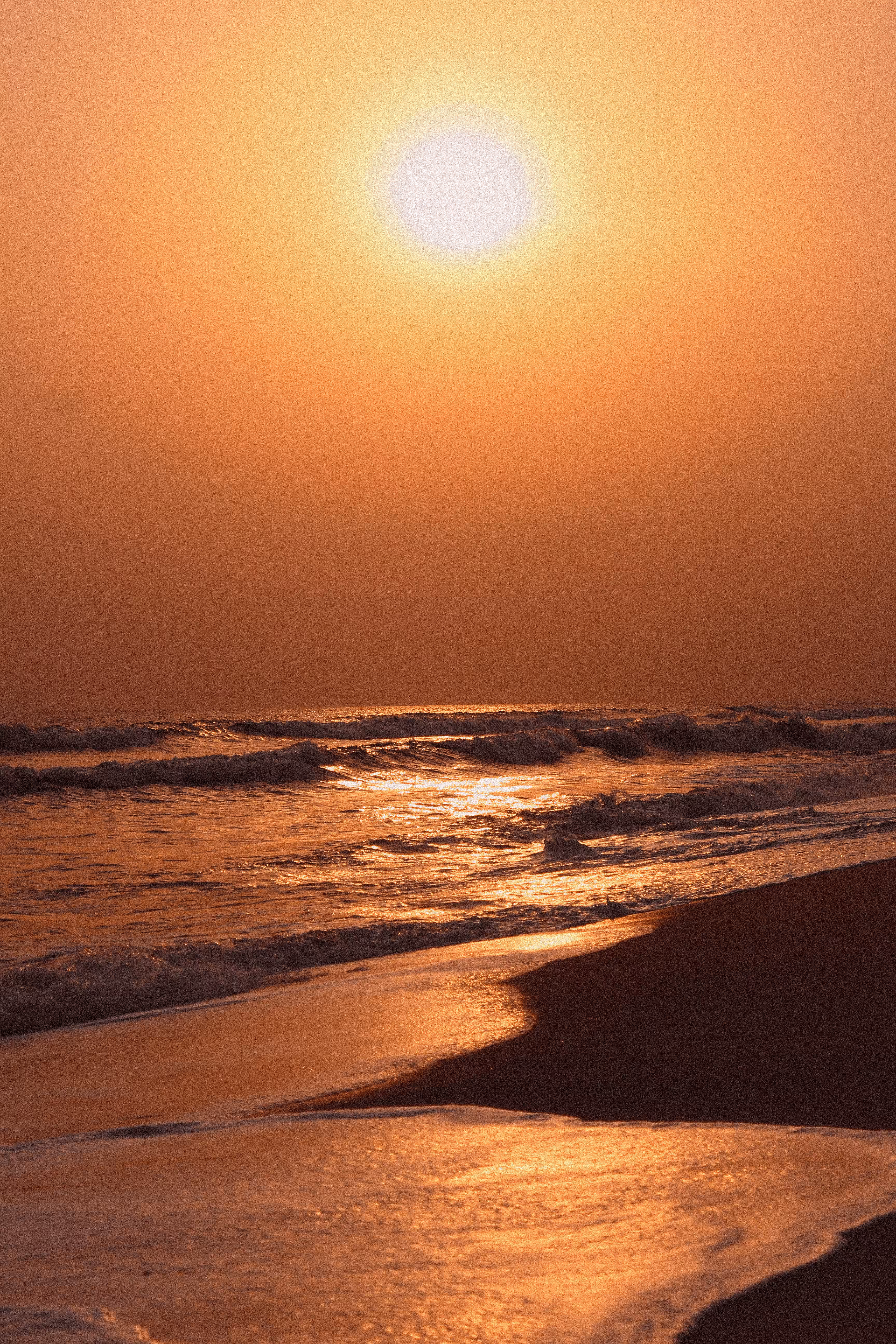 Sea the Sun Set - #011