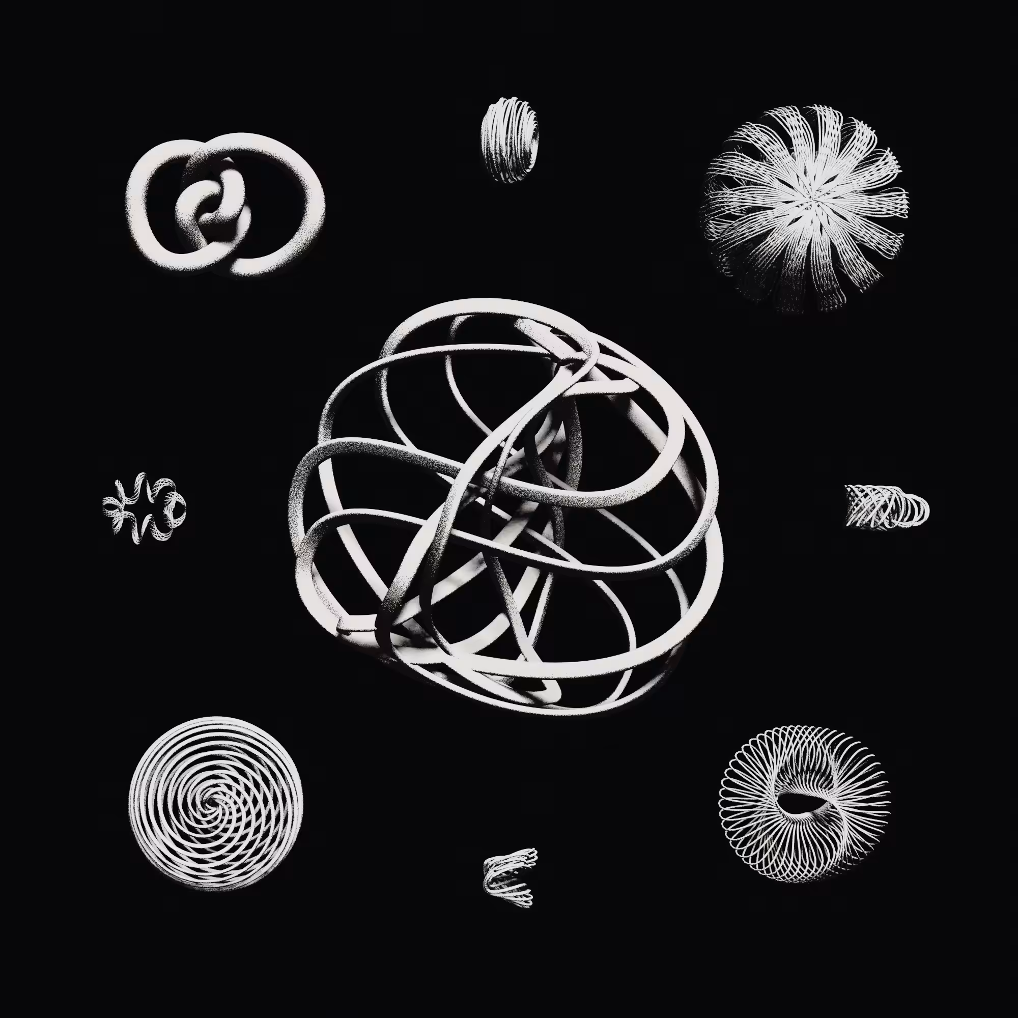 Torus specimen