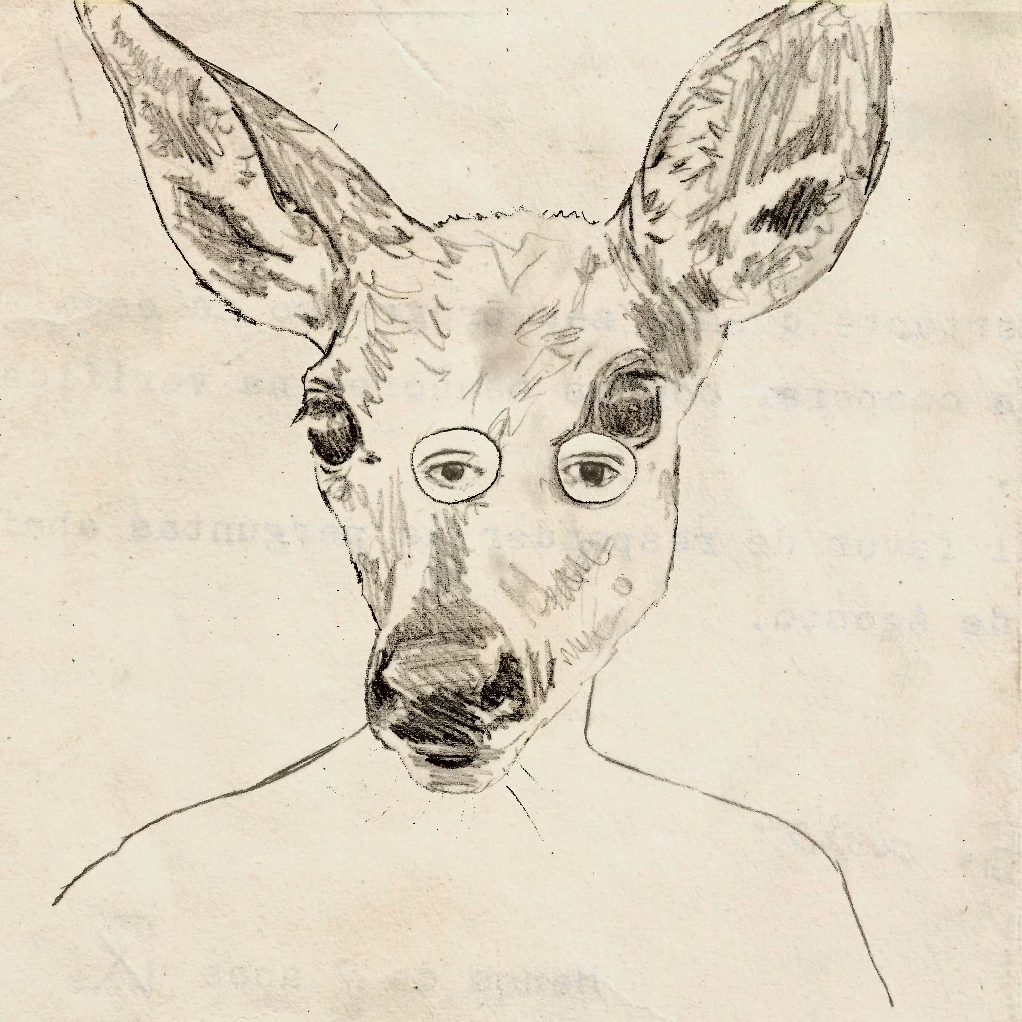 deer mask