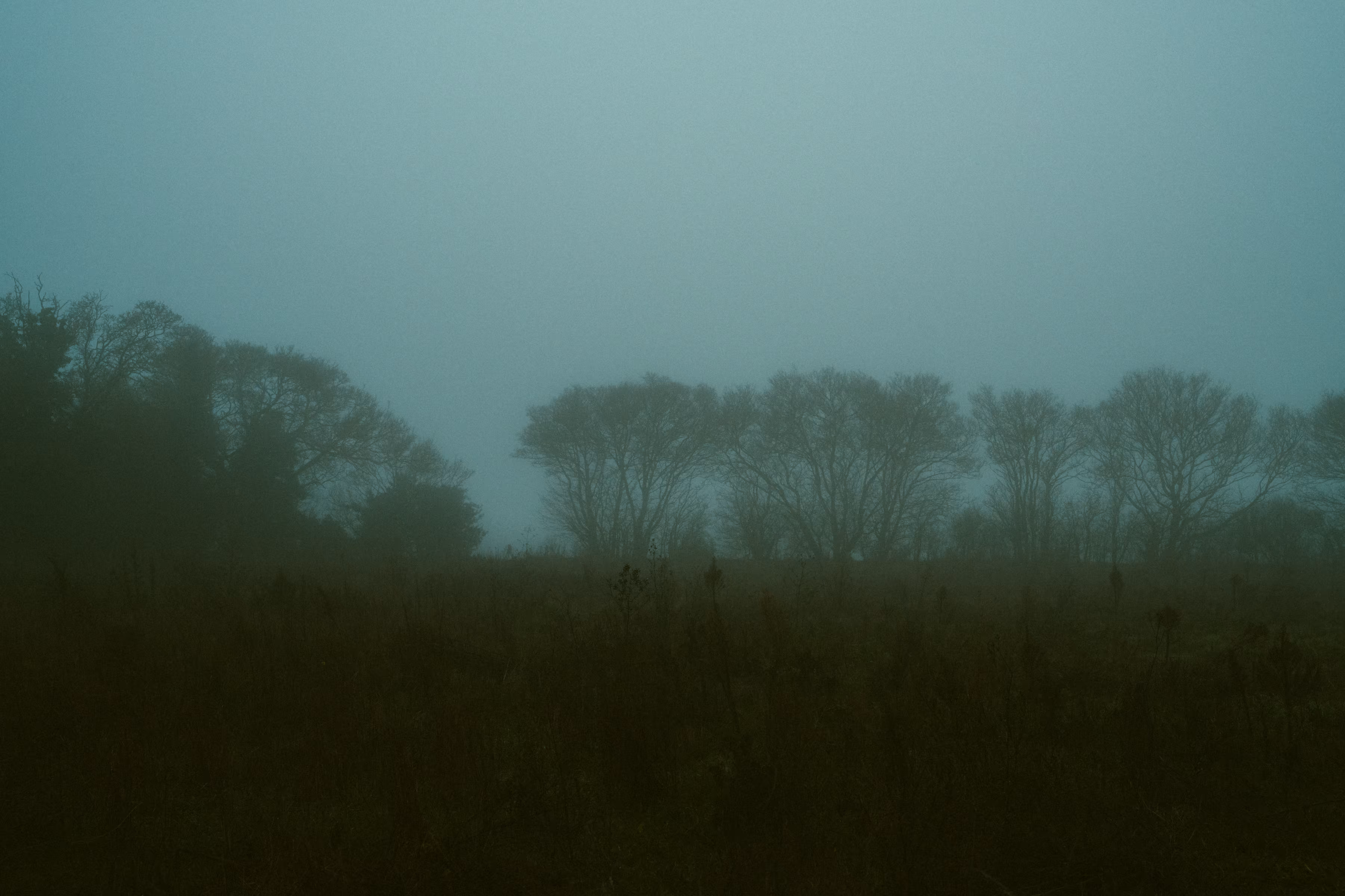 fog