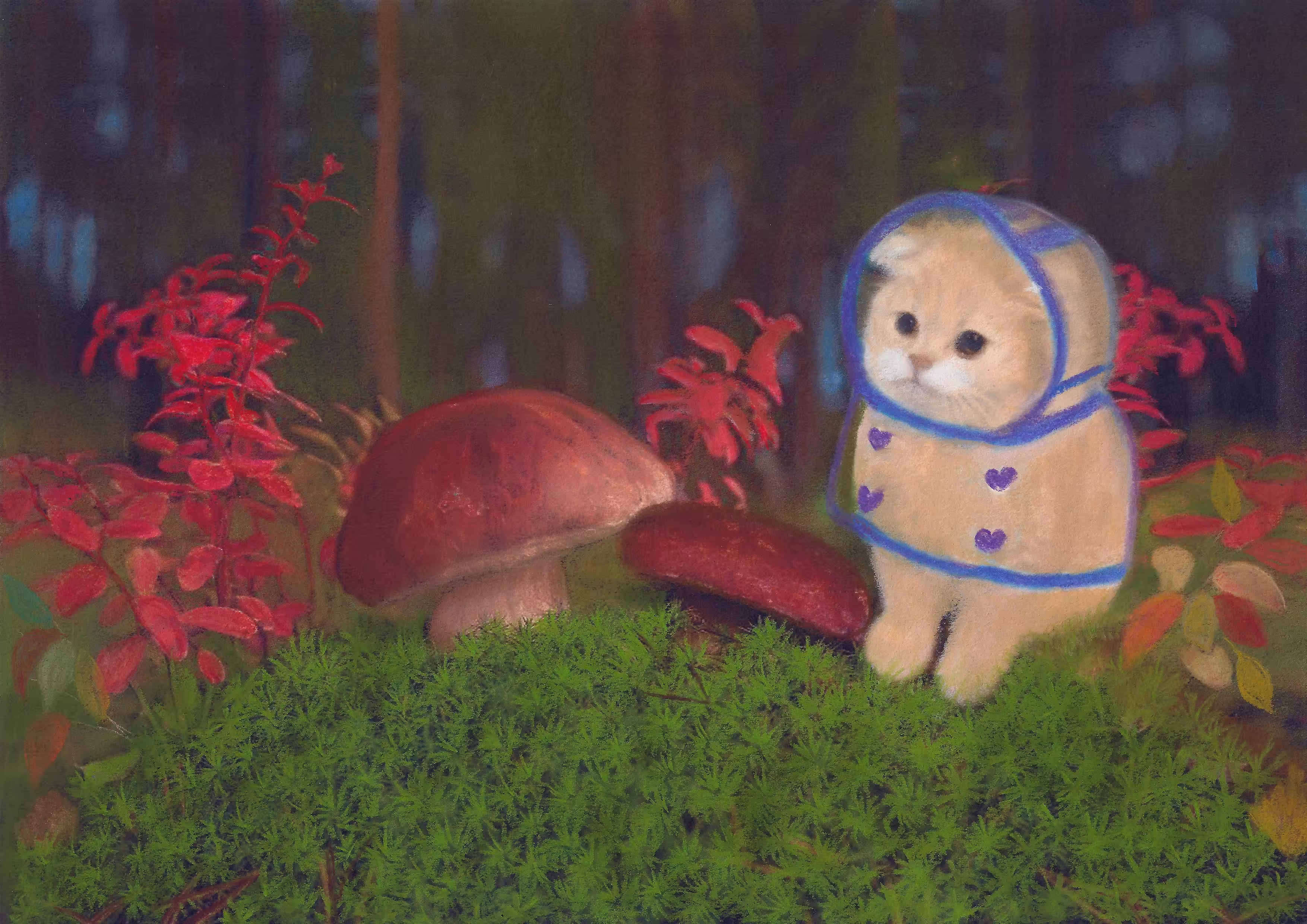 Mushroom picker ‘s  assistant 