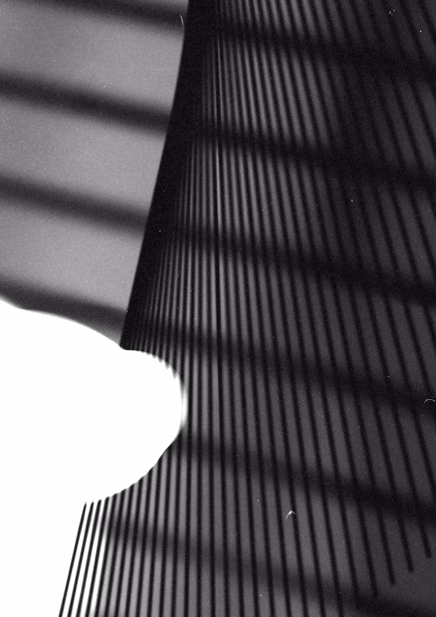 synthetic photography — sk220321_014