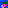  topknot duck