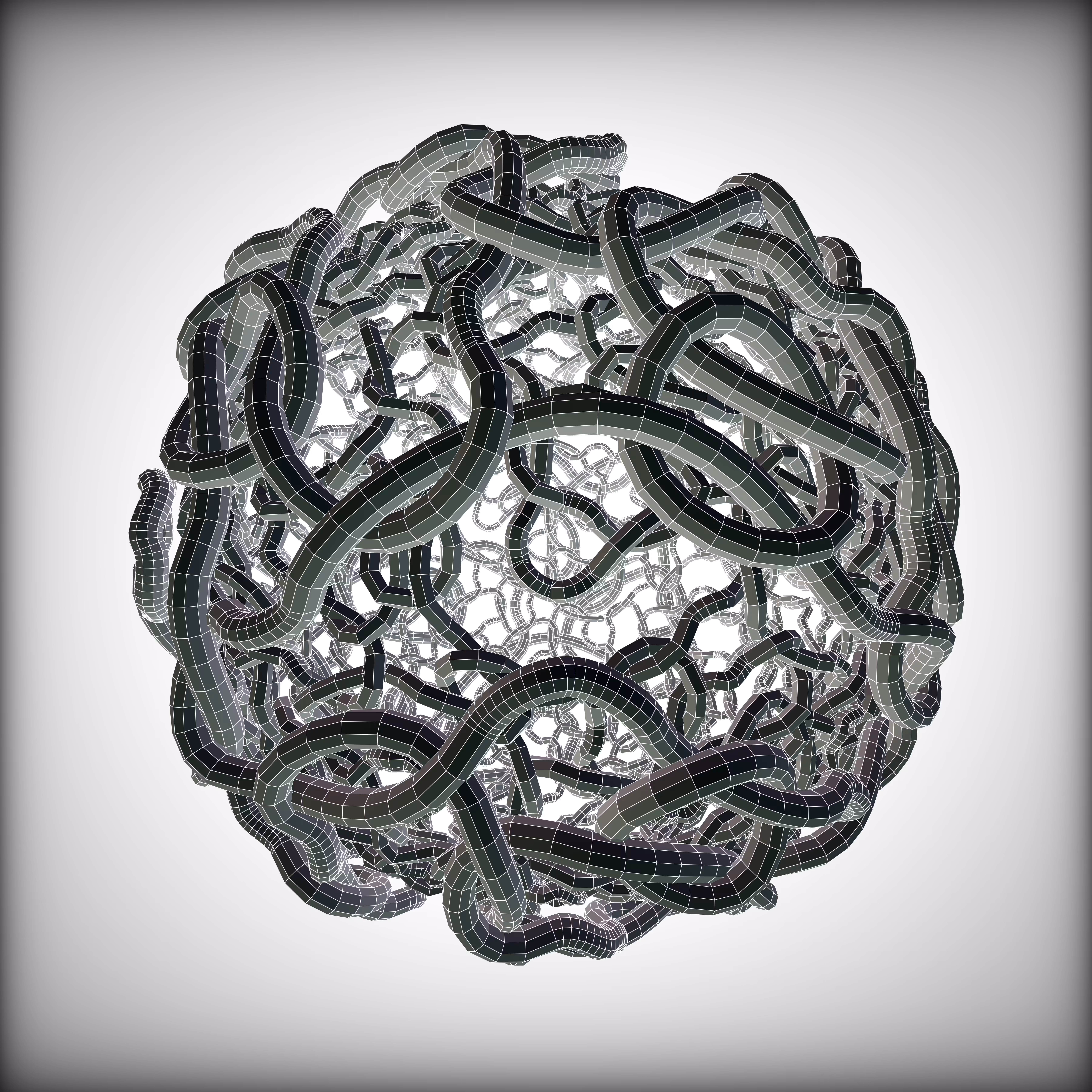 Wild Medusa