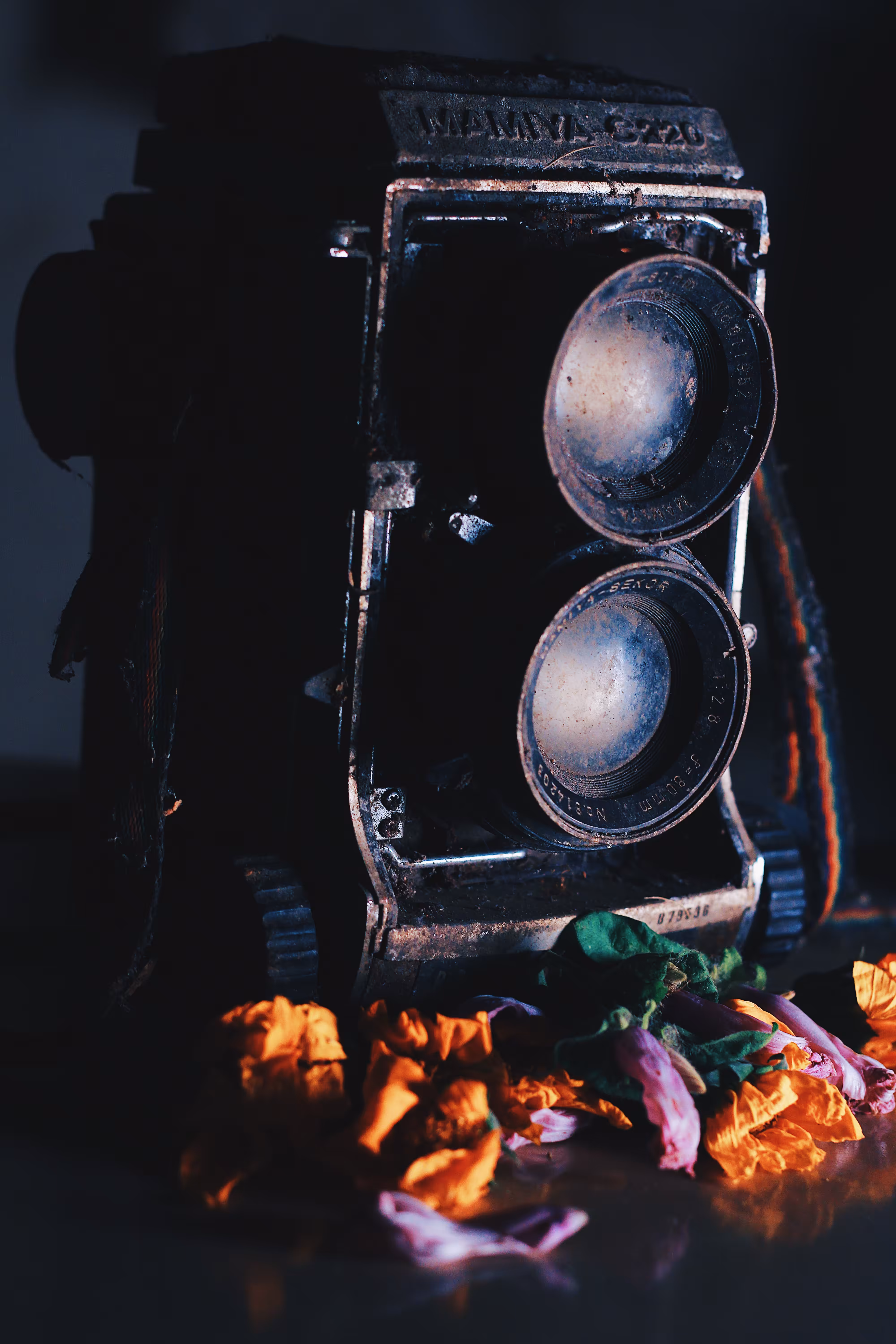 Storytelling Collection: Rust and Roses