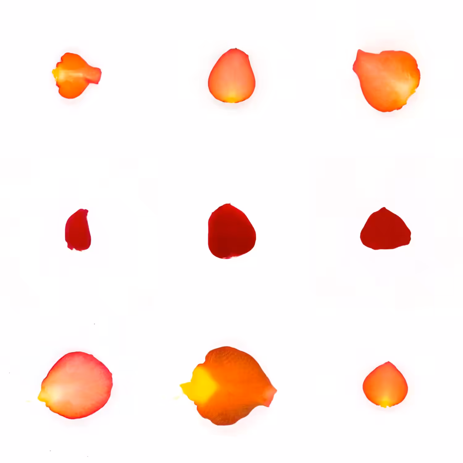 Infinite Petals 3x3#20034