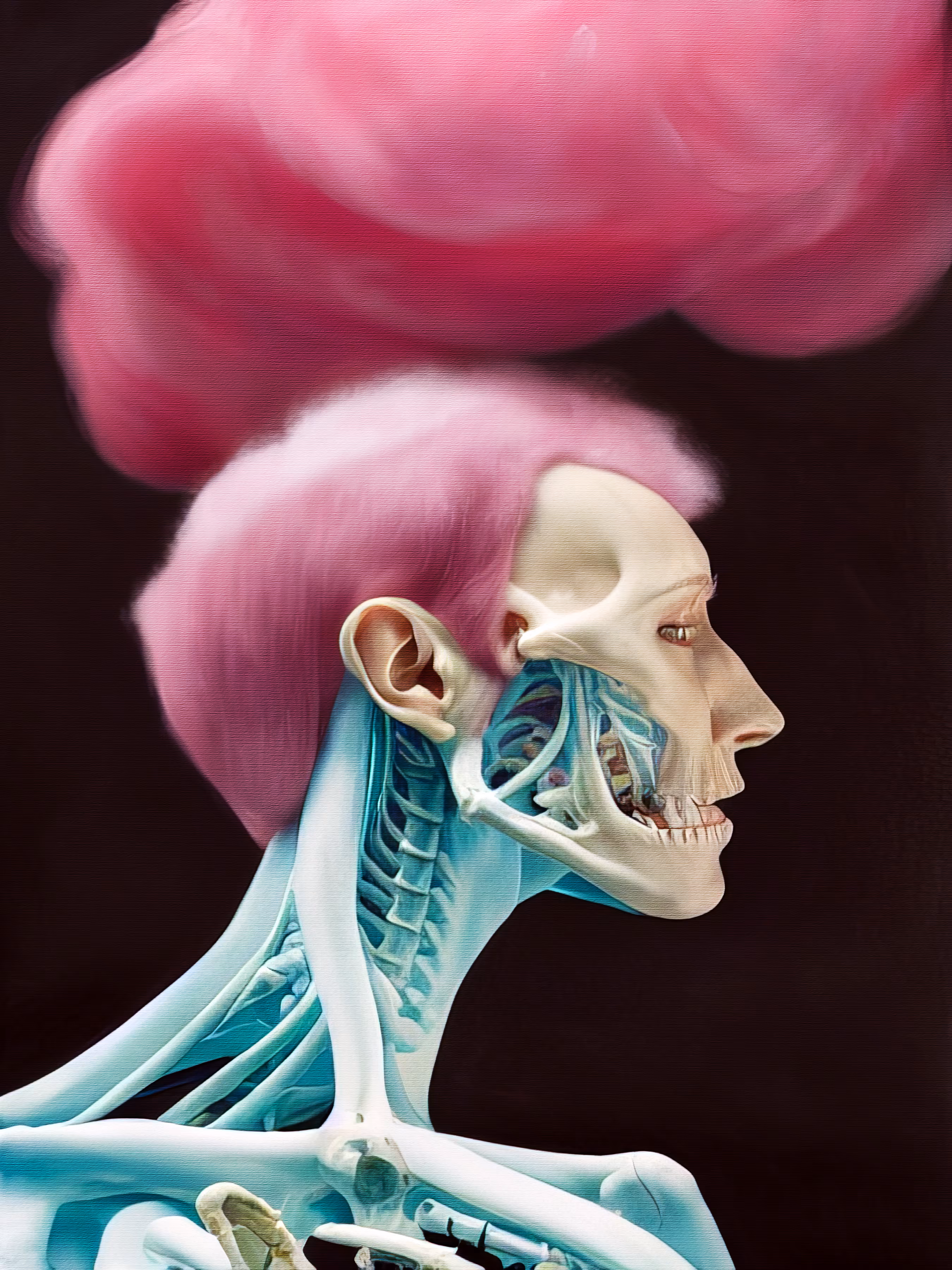 Anatomical Study 56.0
