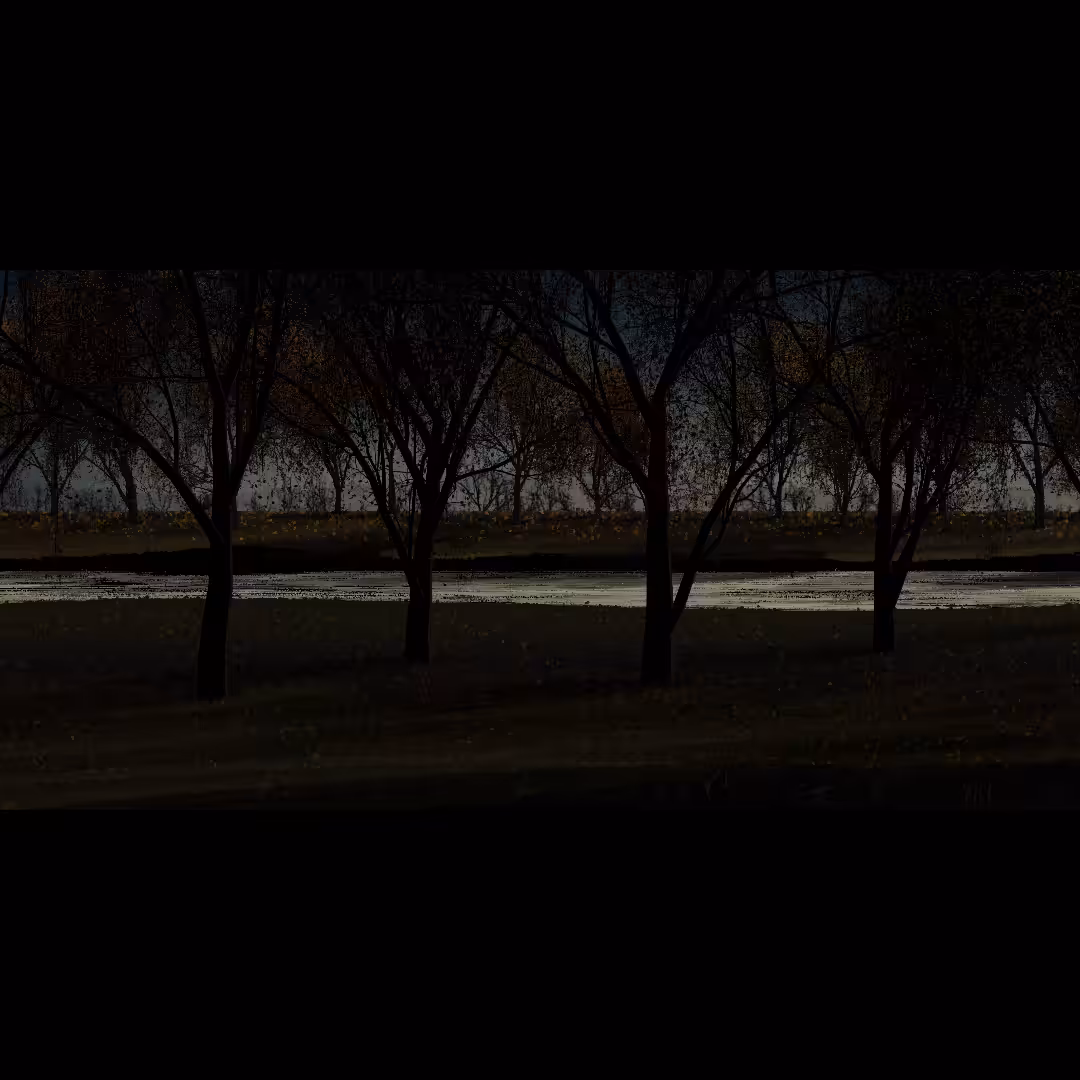 River Prairie #65