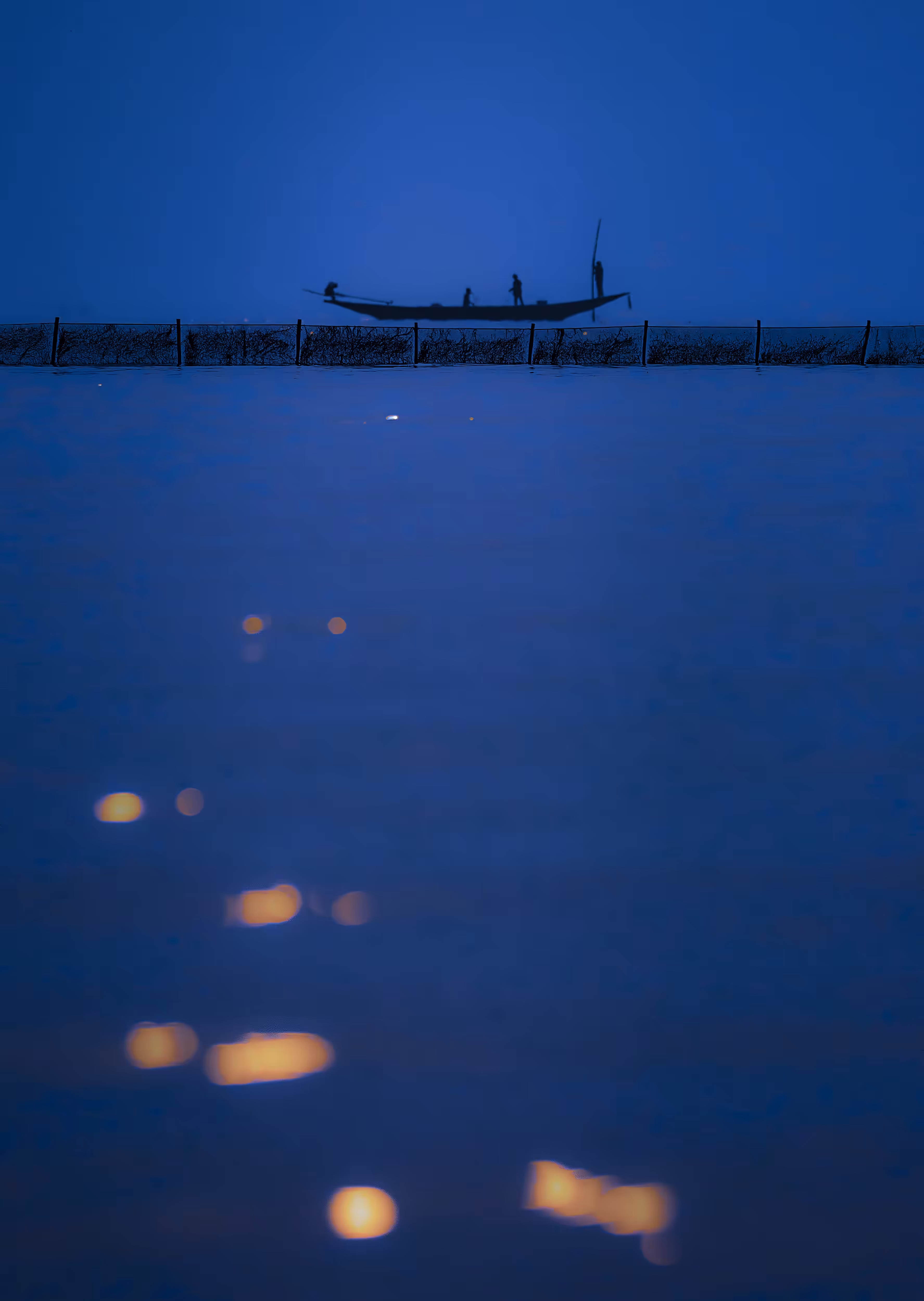 Blue Chilika