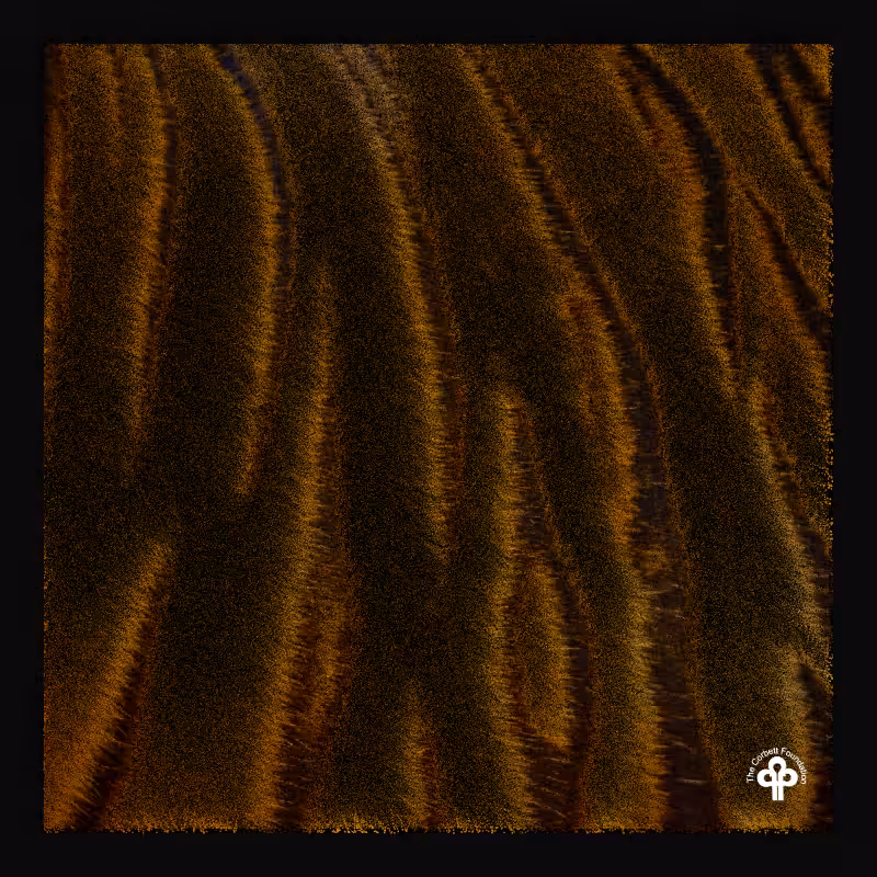 (re)generative tigers #5