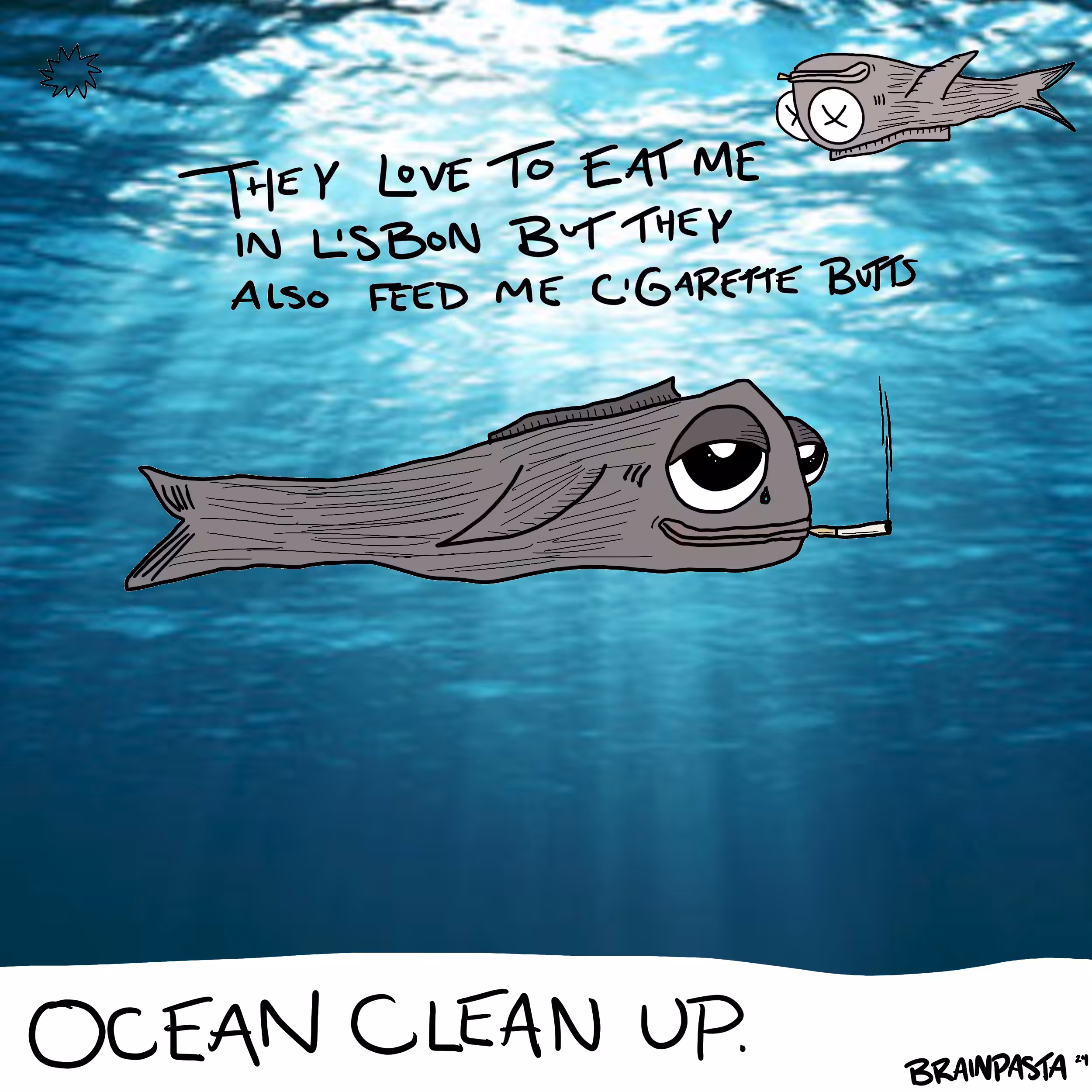 ocean clean up
