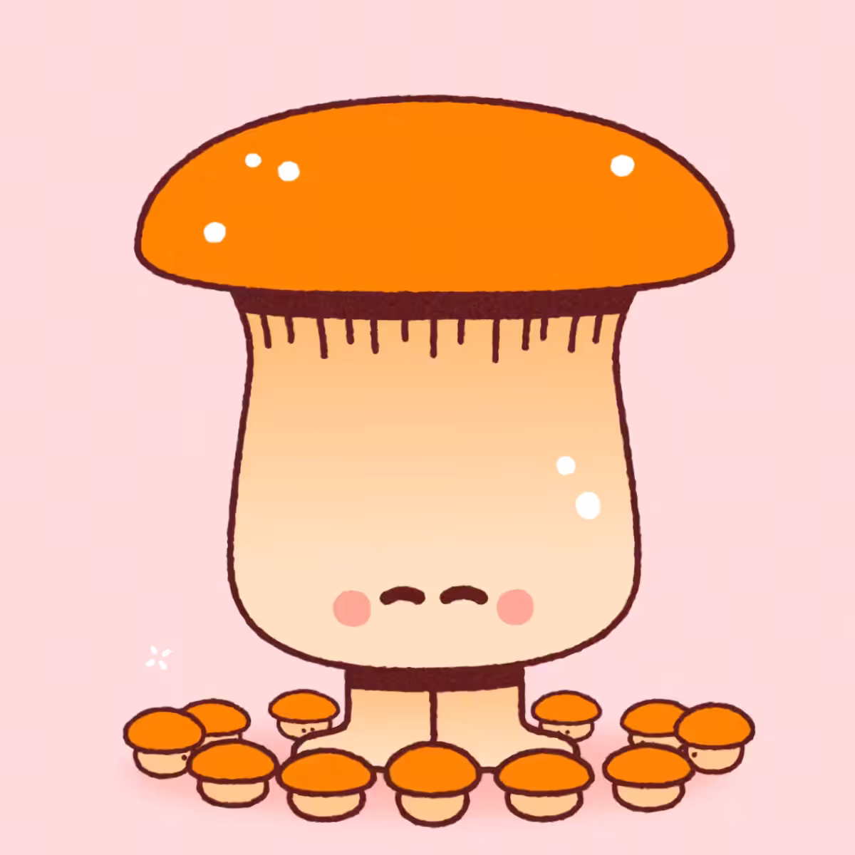 Oak Bolete