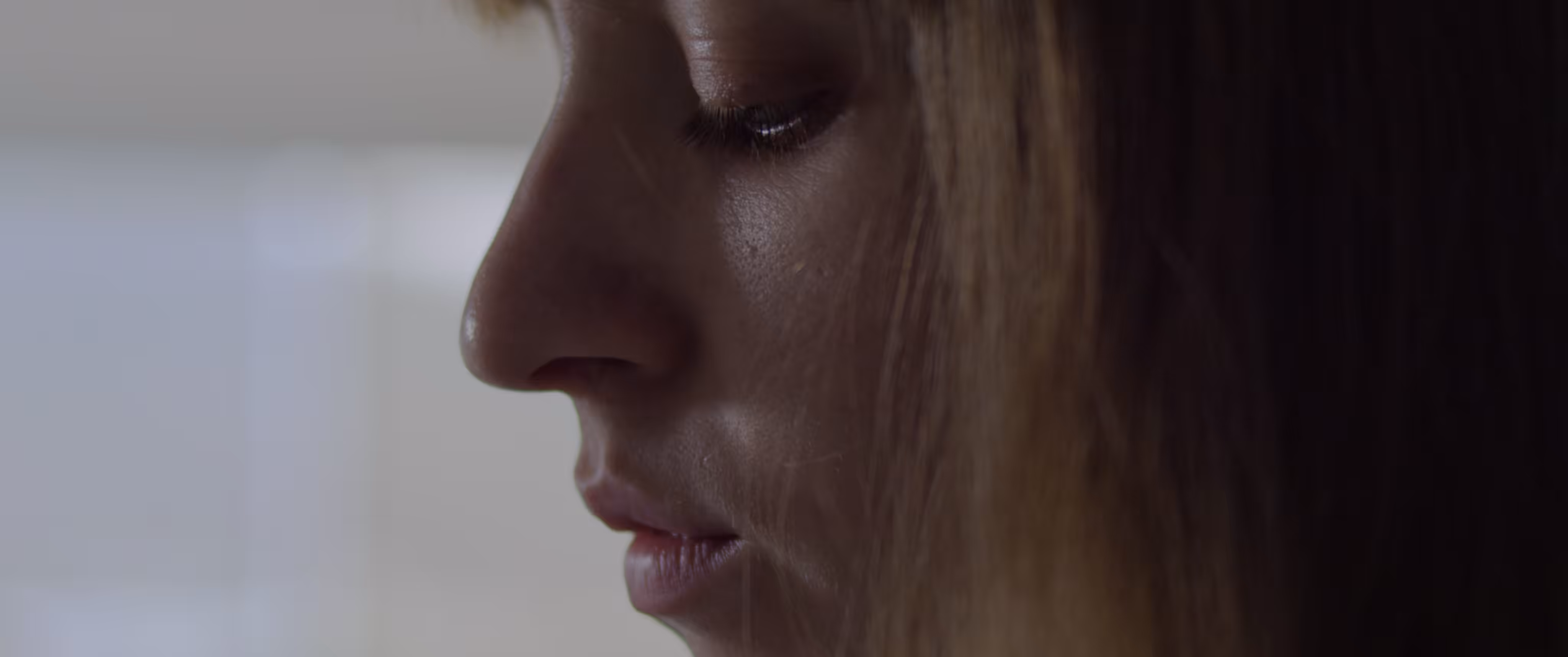 Mostrador Still #21