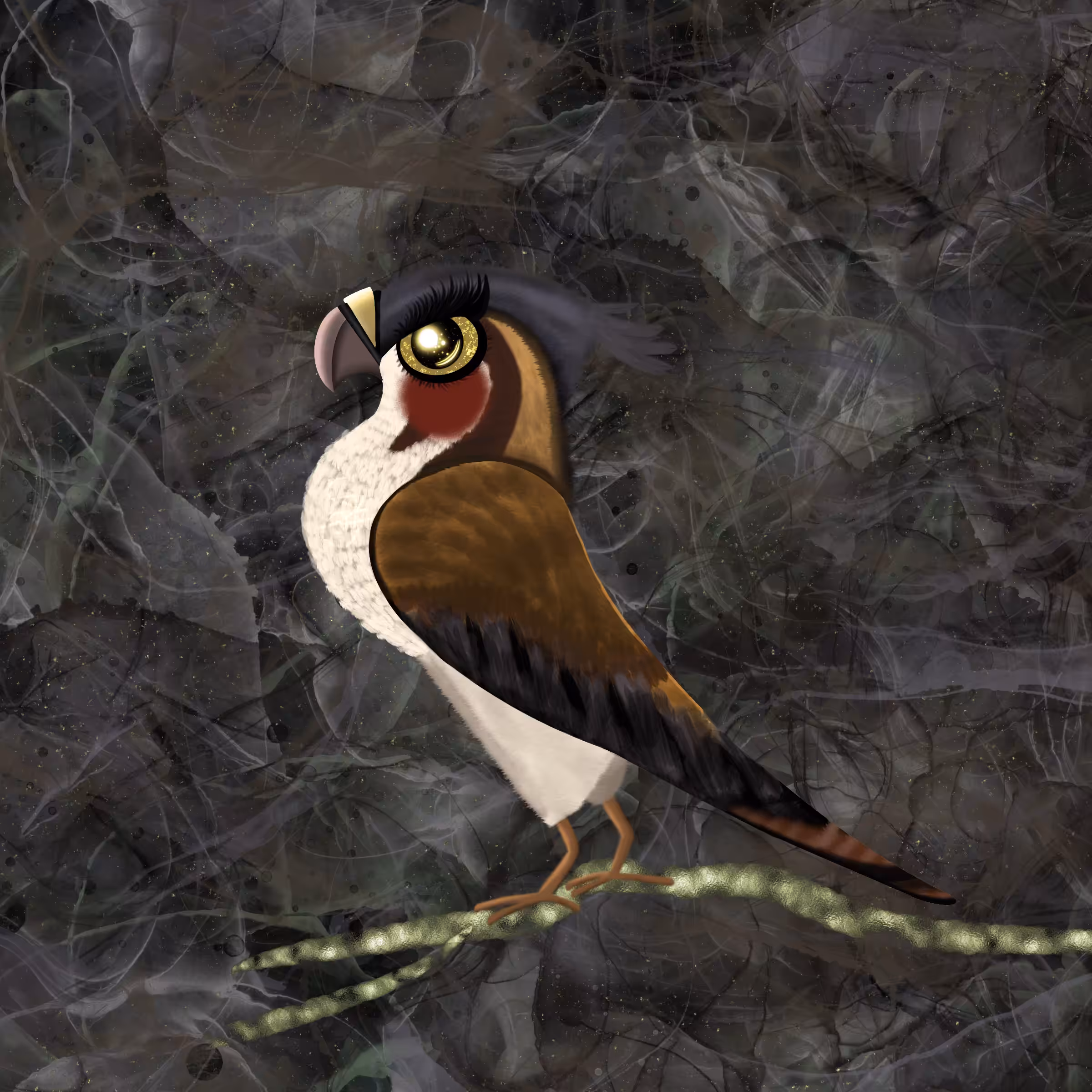 Red Tailed Hawk