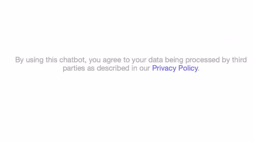 using this chatbot