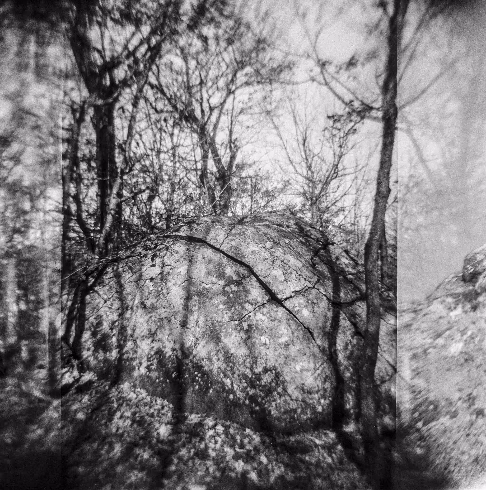 Nature Charcoals V