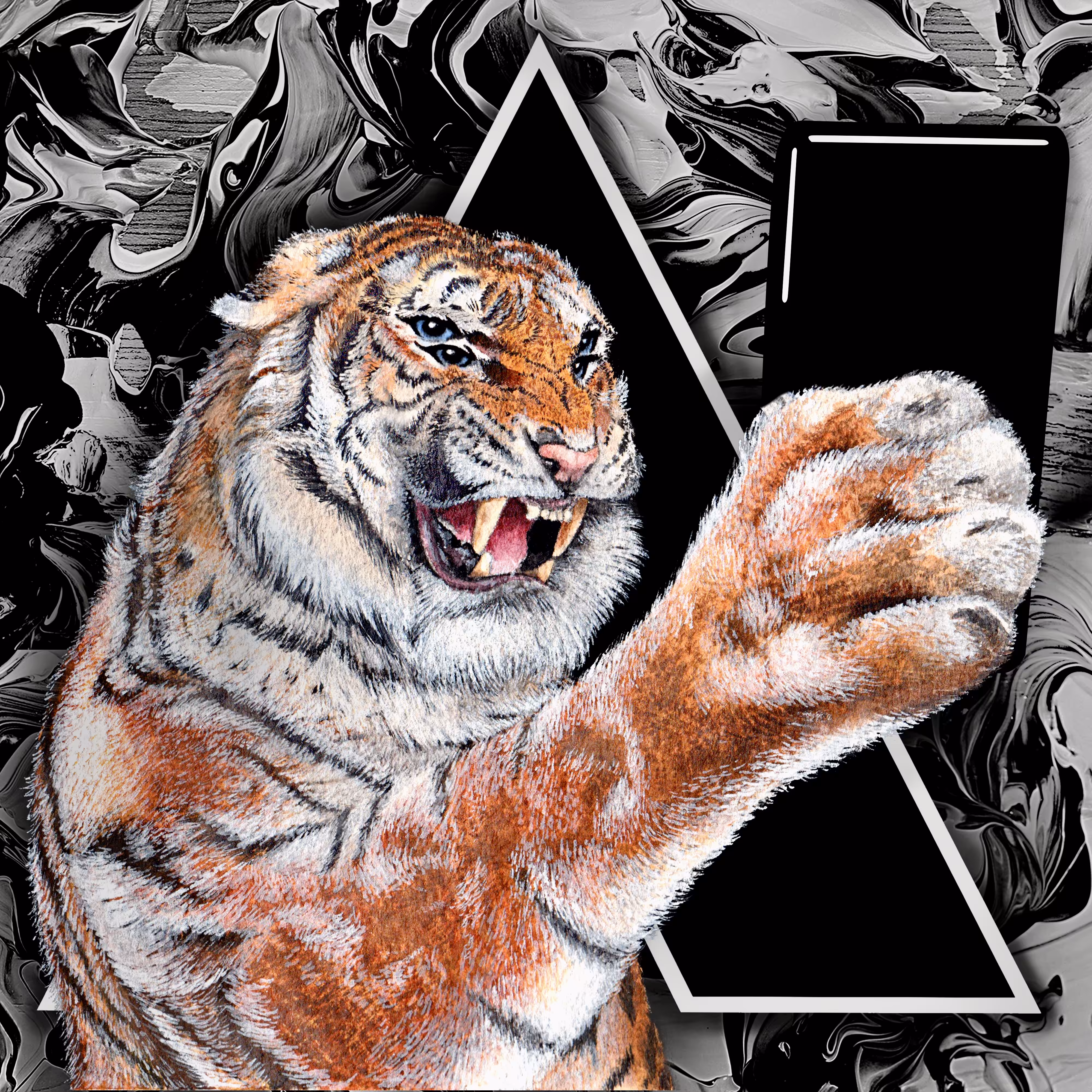 The Comical Tiger