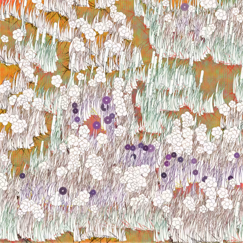 Petri 1500 #1389