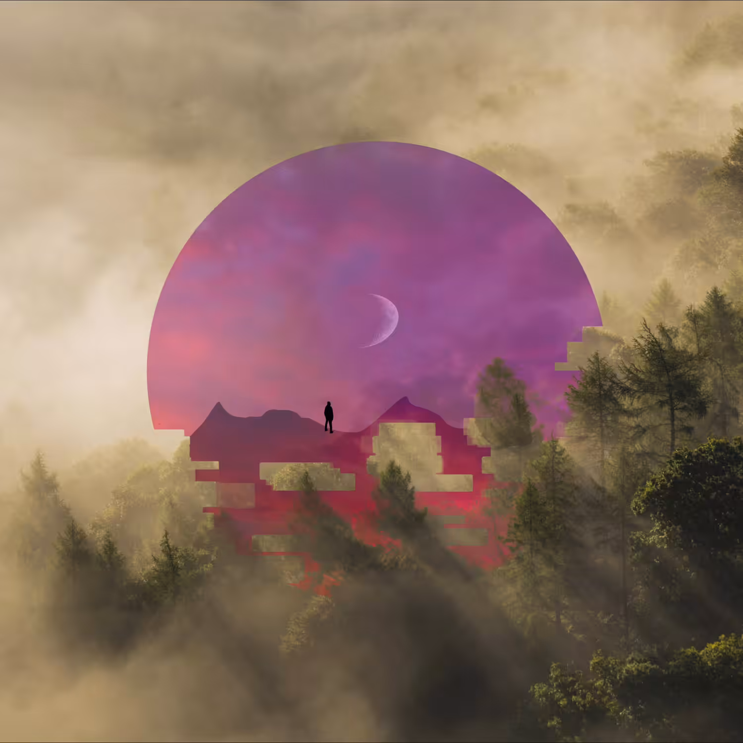 Hidden worlds