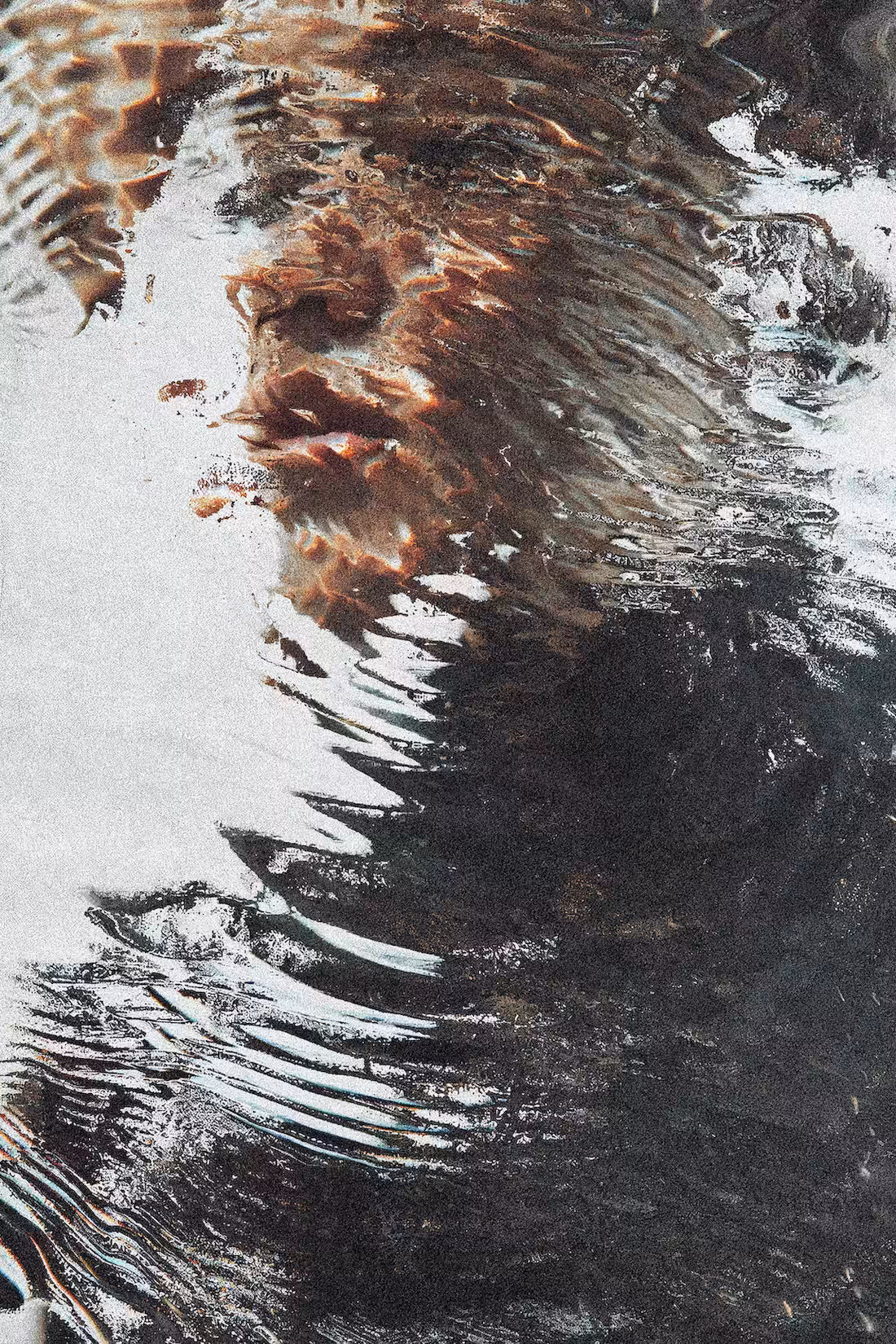 Morphing Muse 21