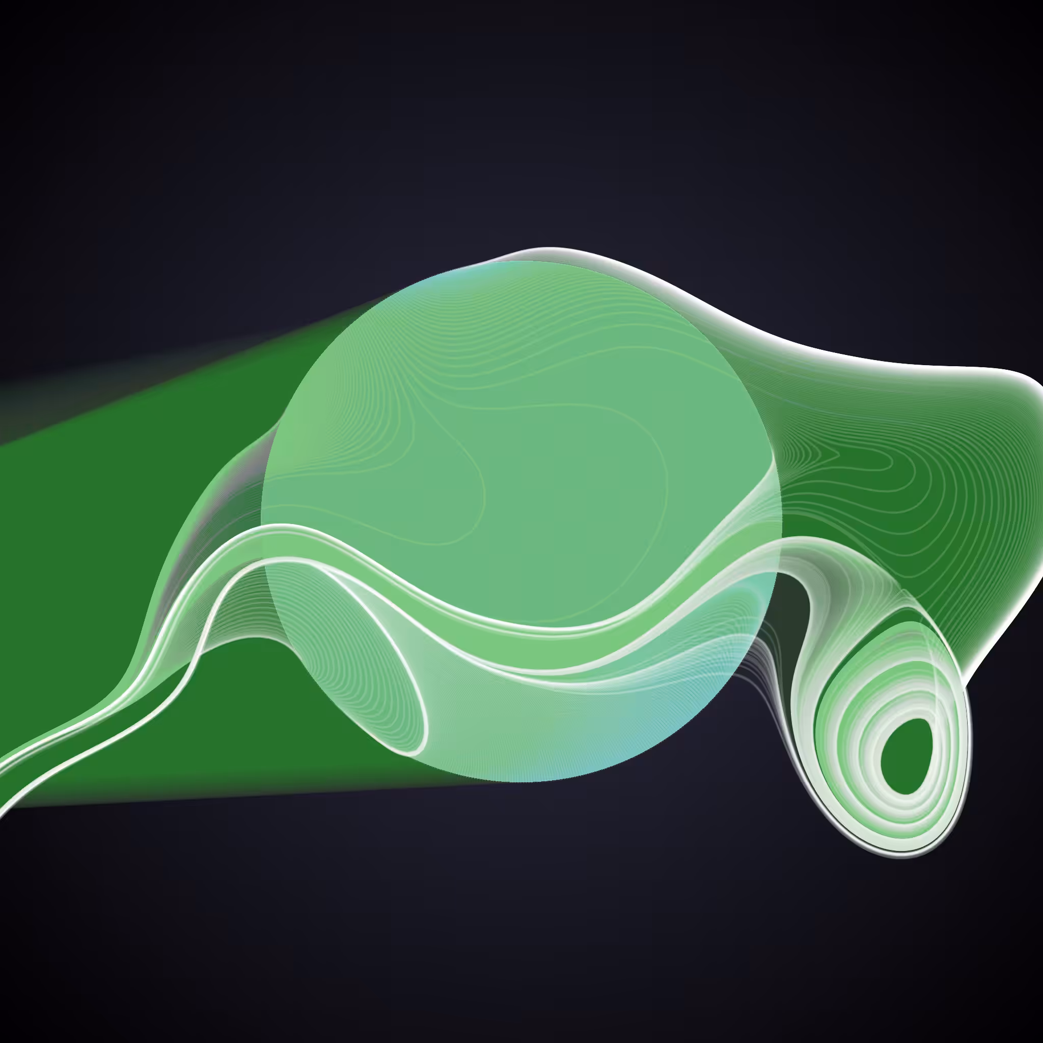 Veil 06