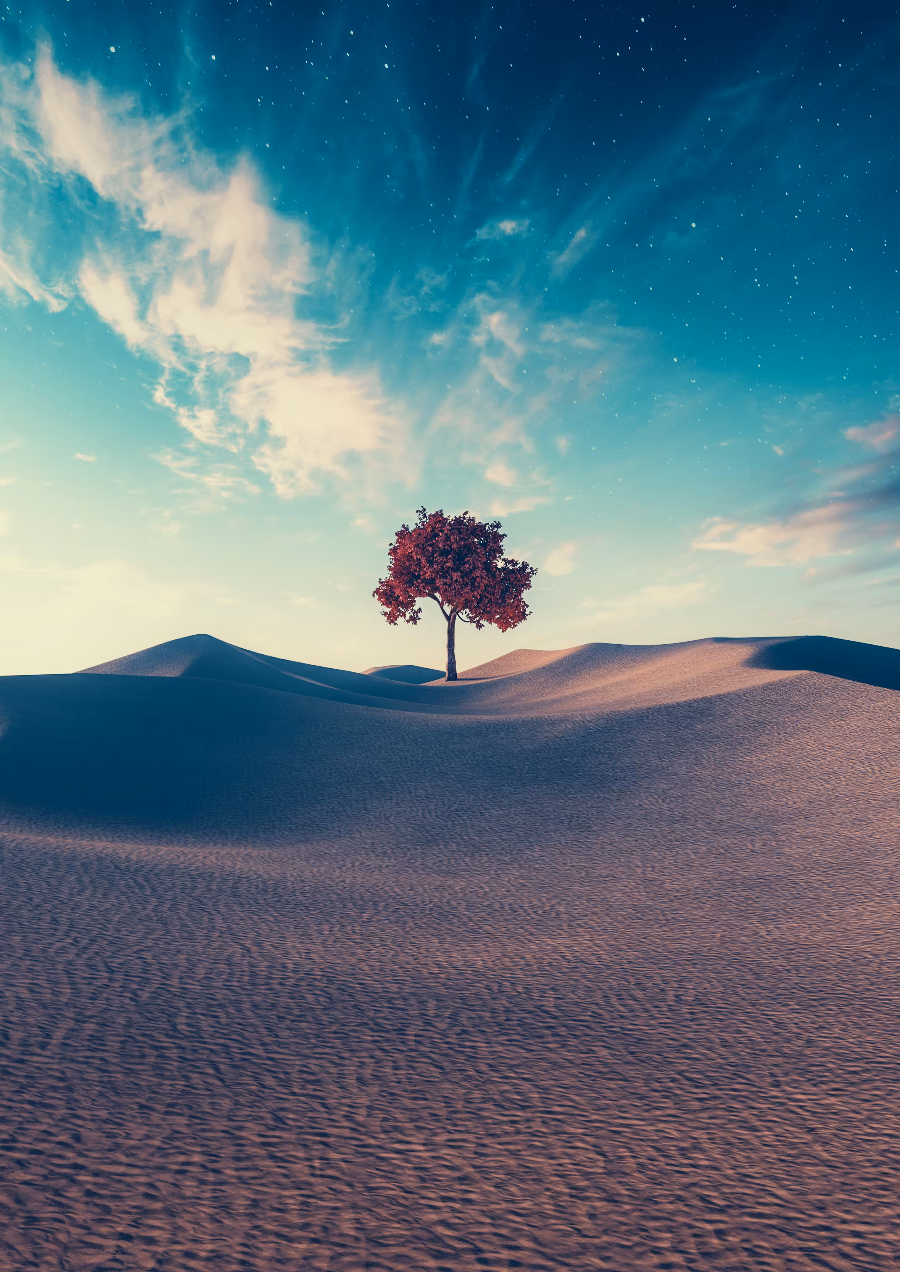DUNESCAPE XXVIII