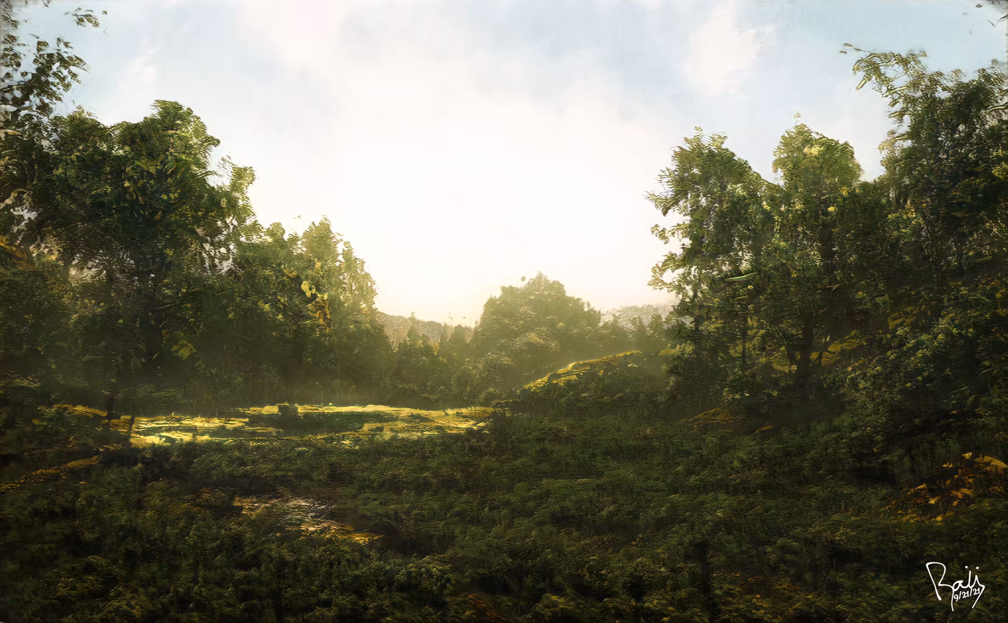 The Clearing