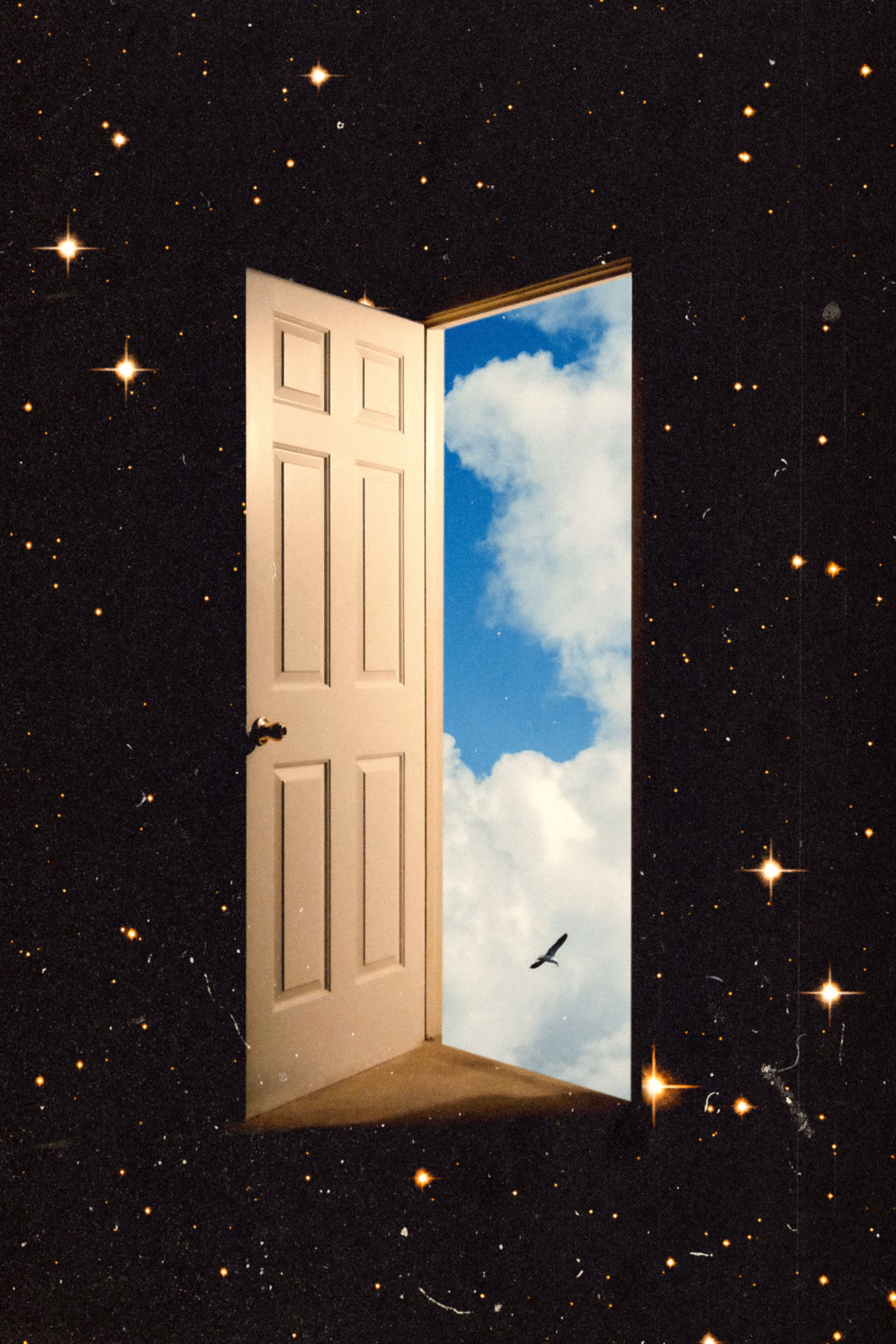 The Portal