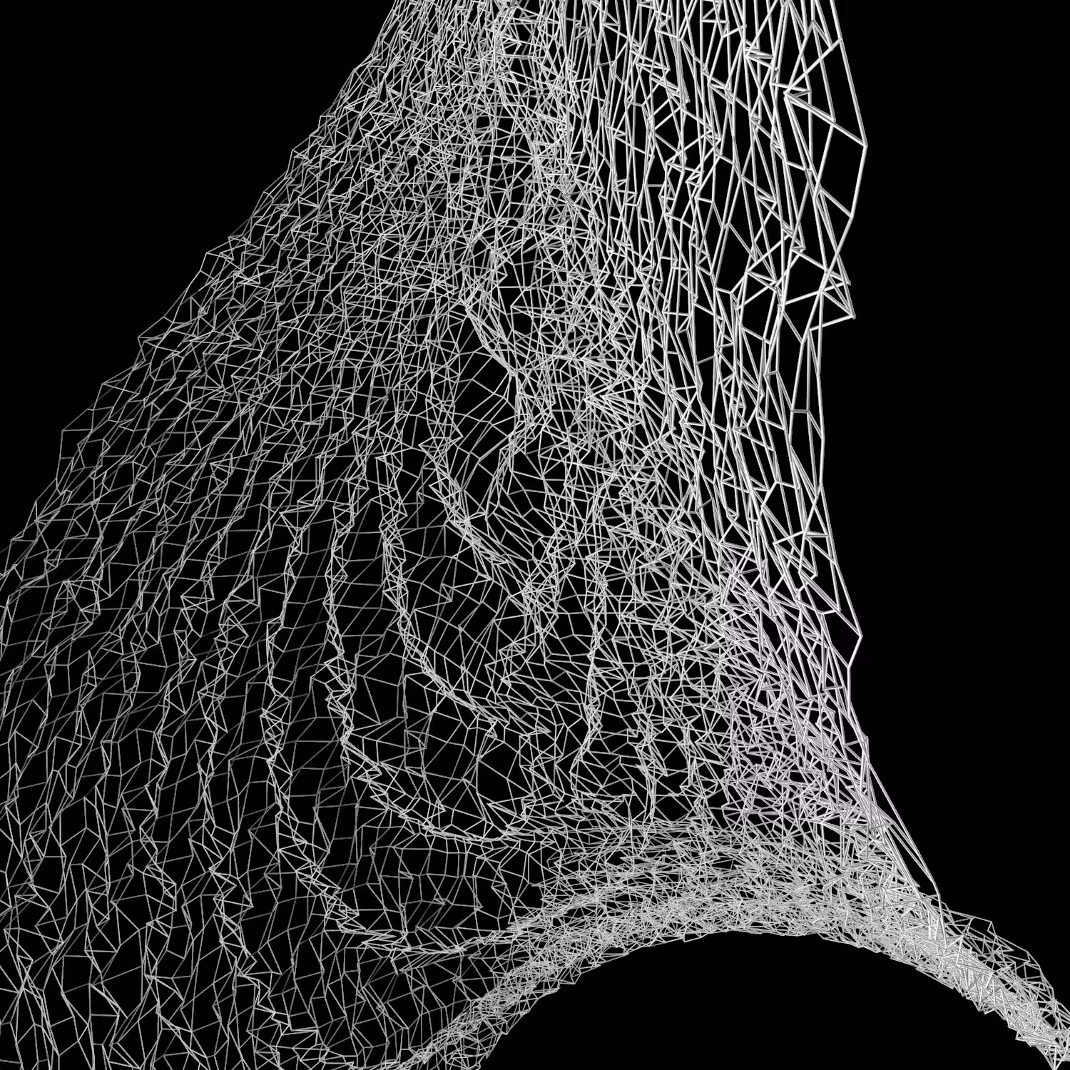 Forma Naturalis - 02