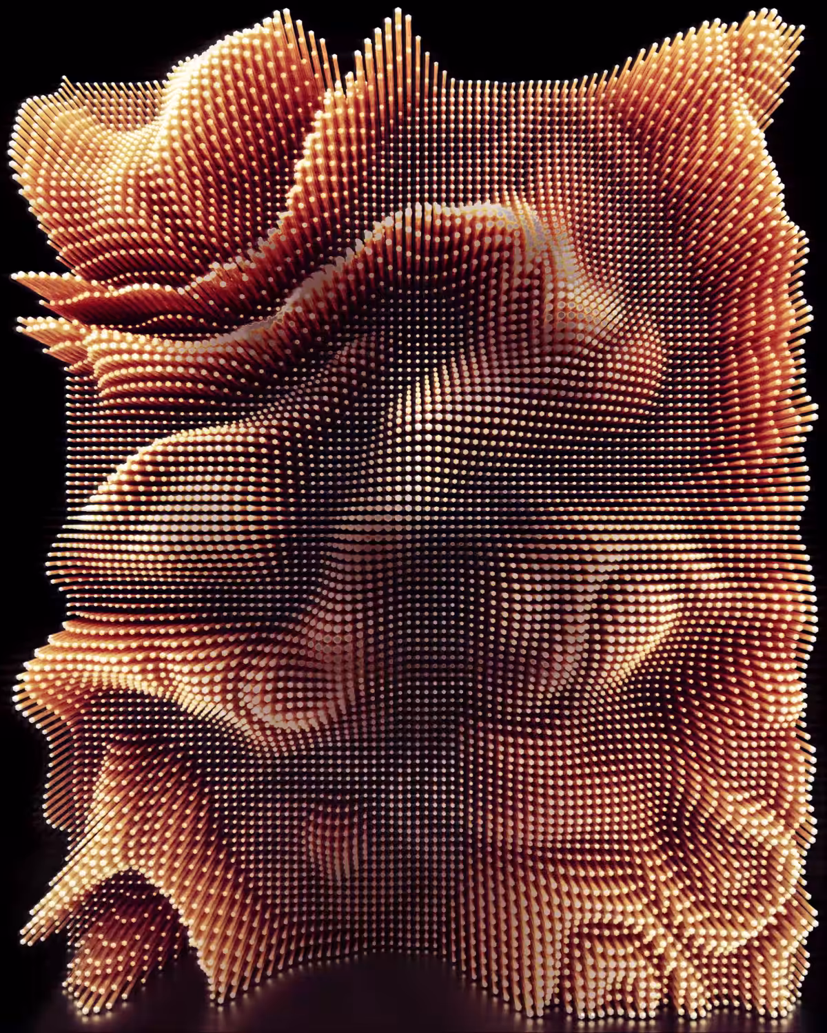 Metafold 06