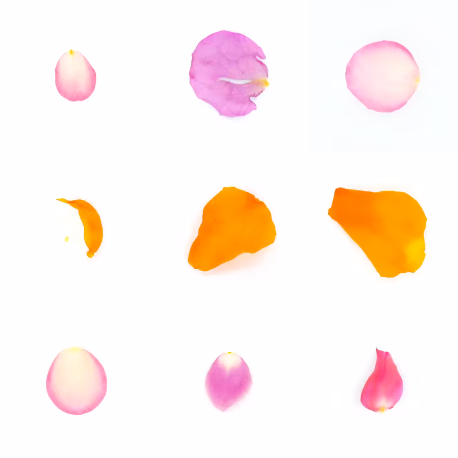 Infinite Petals 3x3#3185
