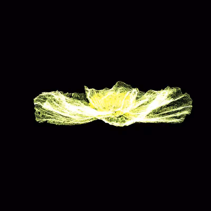 White Poppy 30 #57