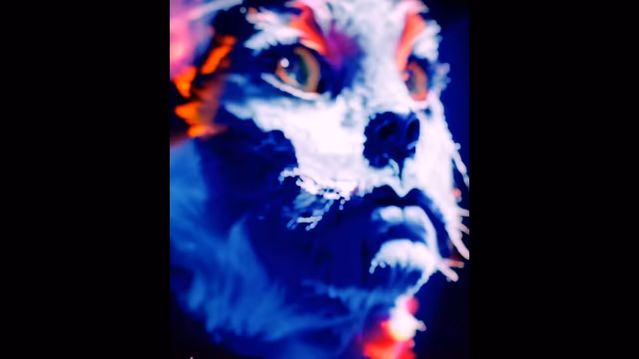 Cato