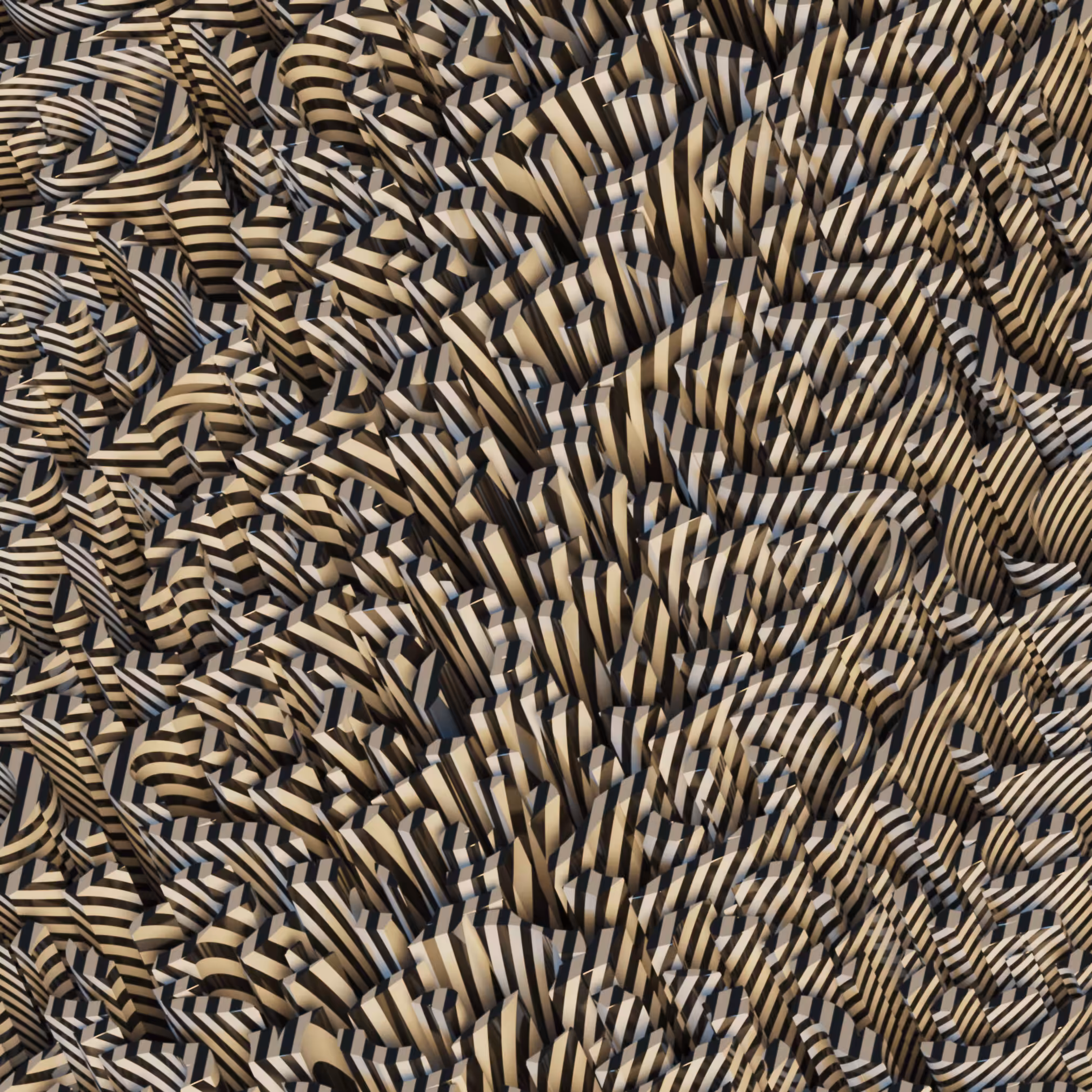 BACKUP ZEBRA FIELD