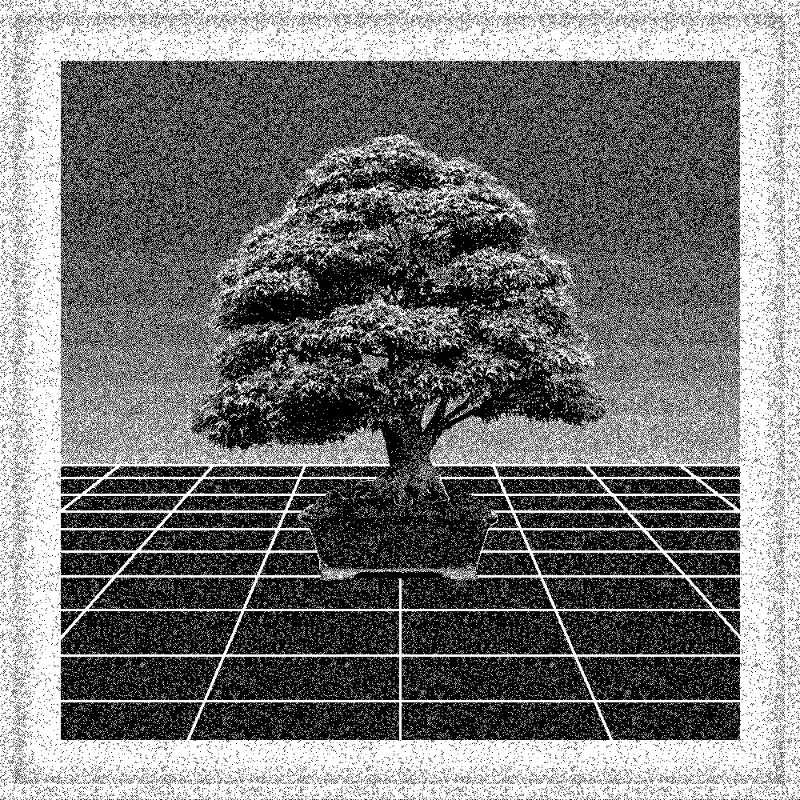 Bonsai Bonanza #872