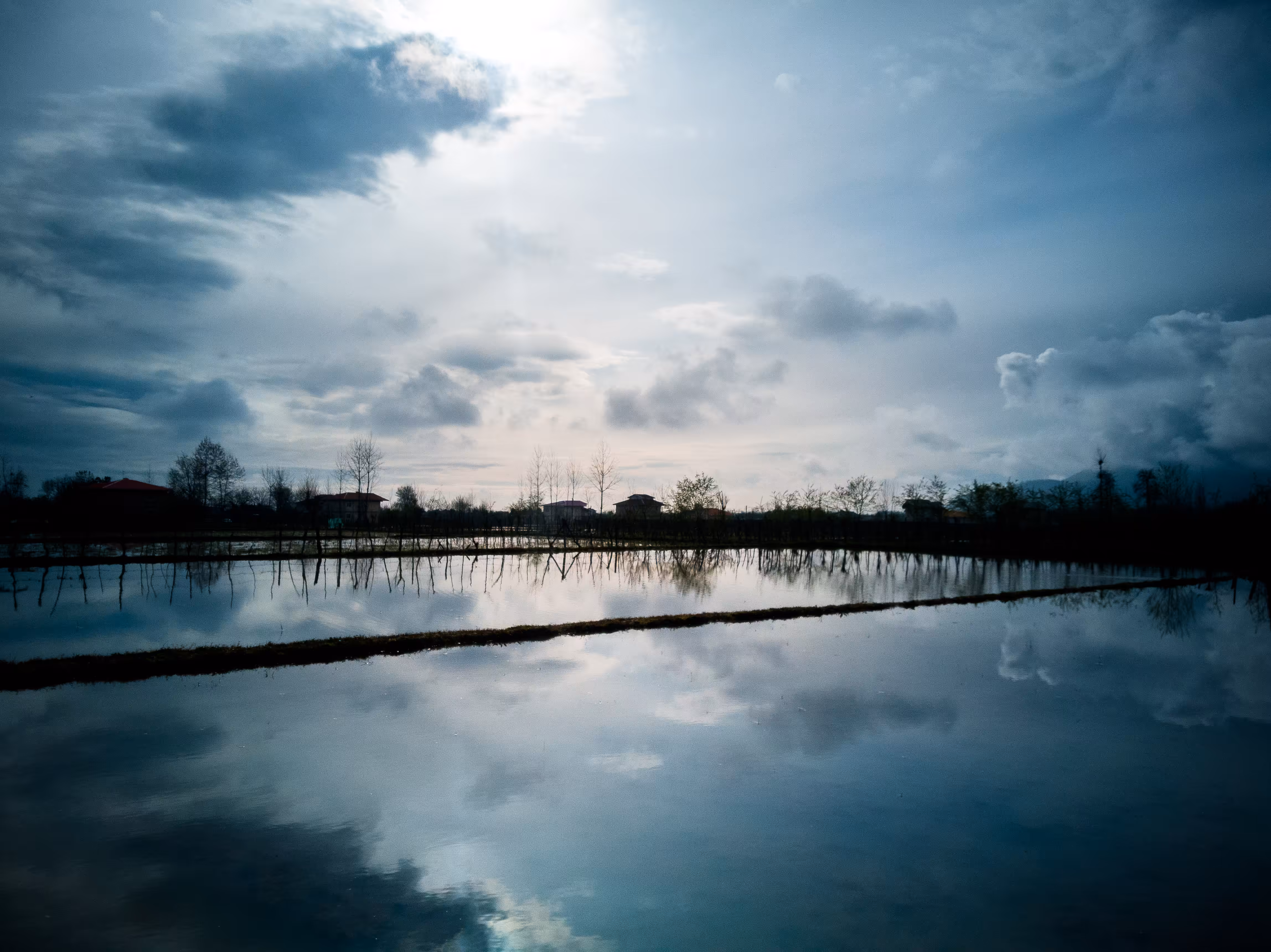 Blue Twilight