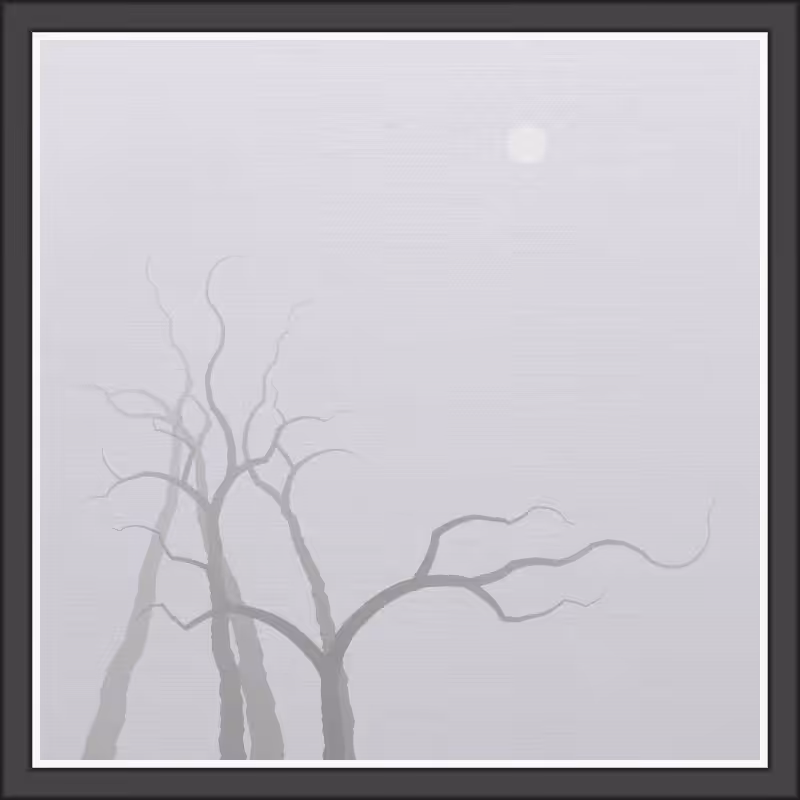 The Foggy Trees #120