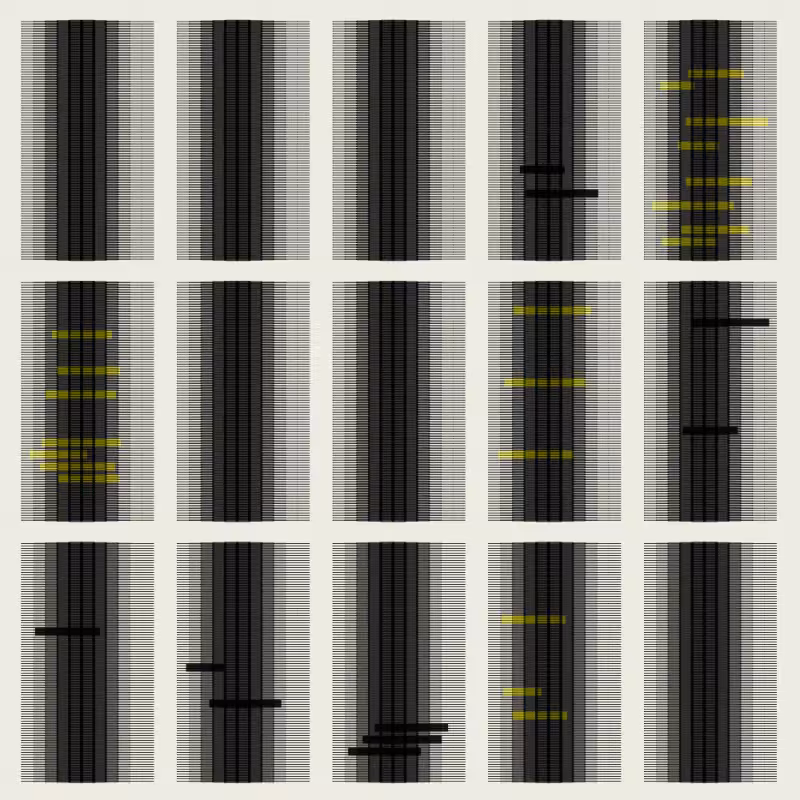 Pages From A Redacted Document #10