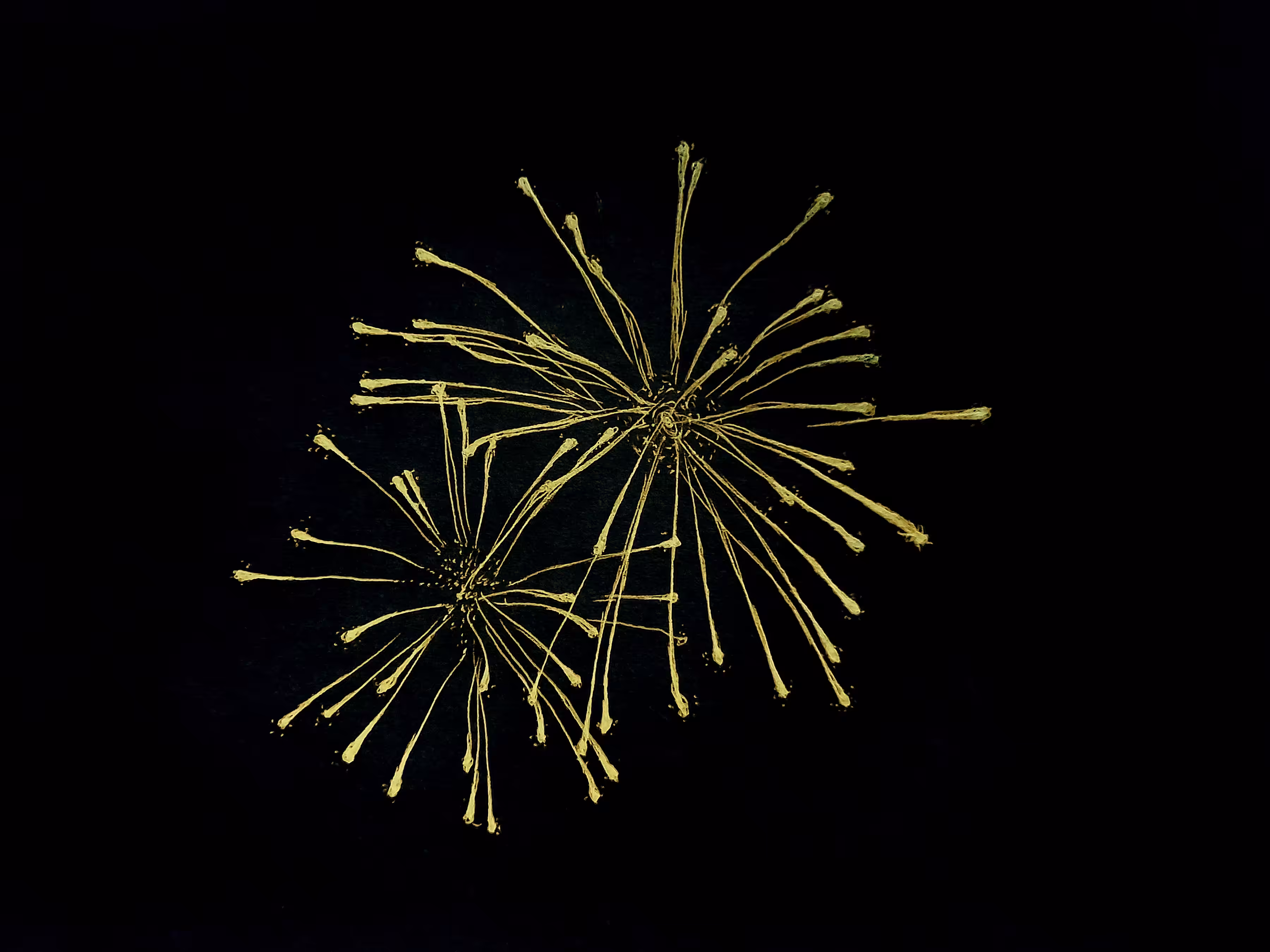 Day 28 / Sparkle