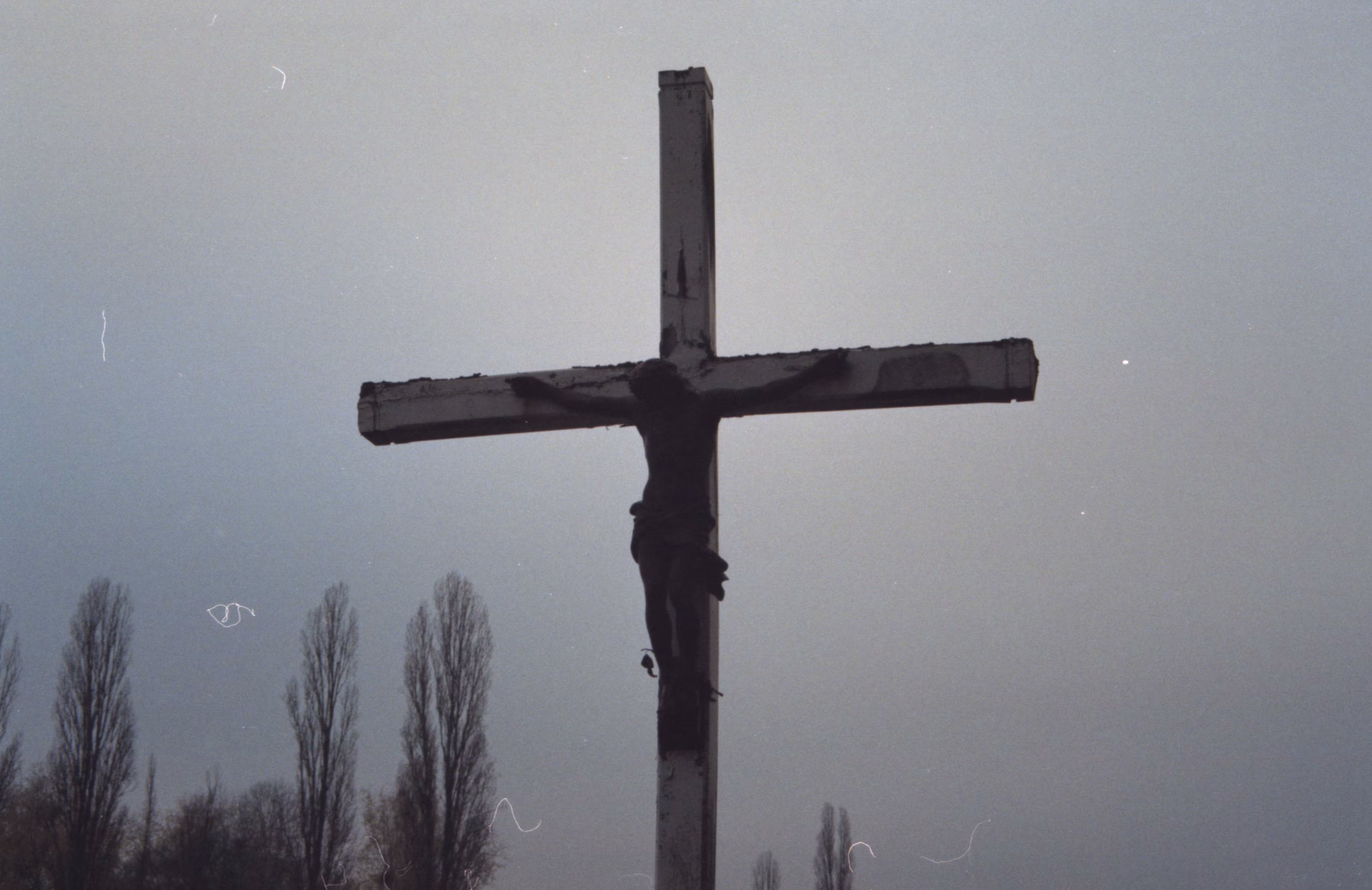 Paris Film Photography: les yvelines