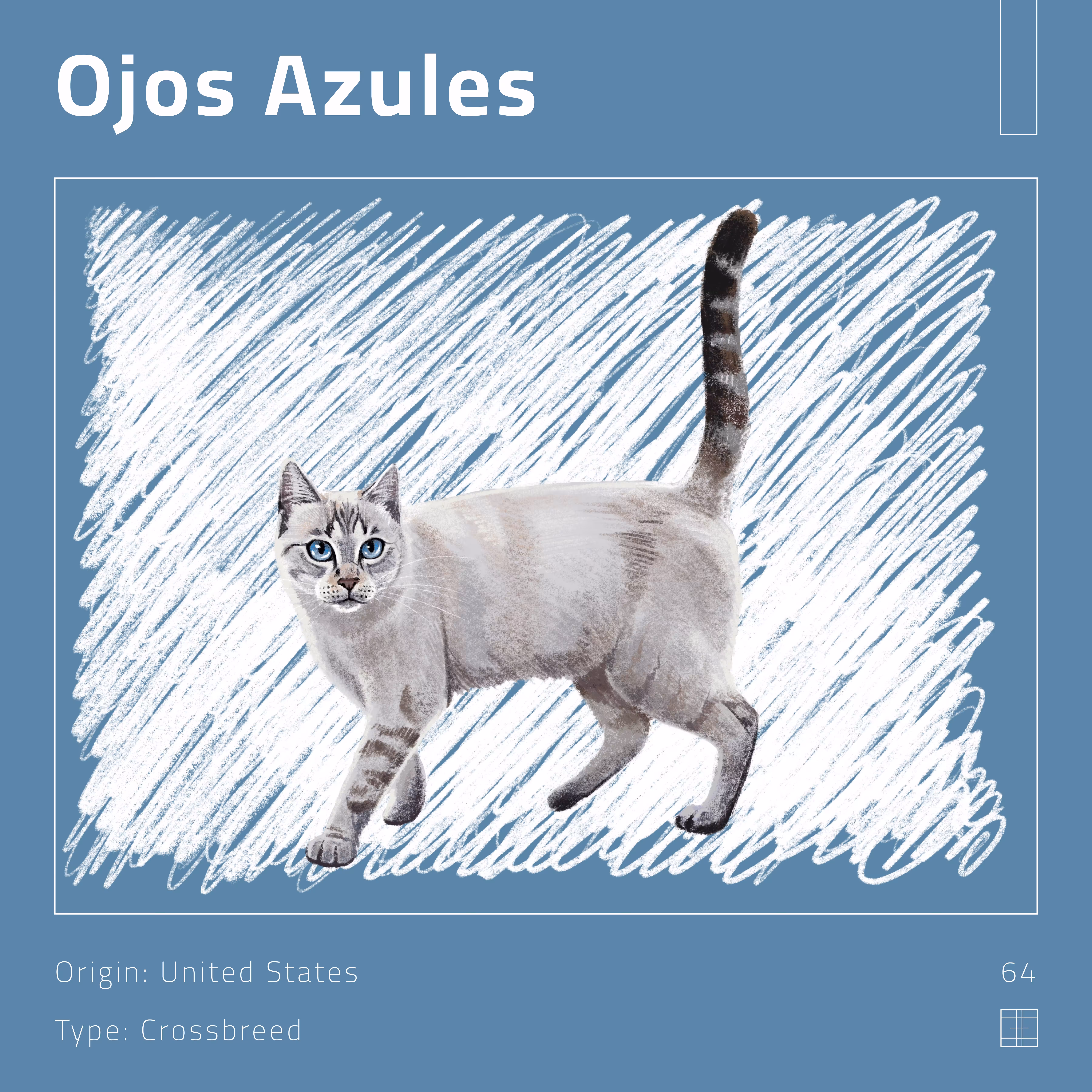 64 – Ojos Azules