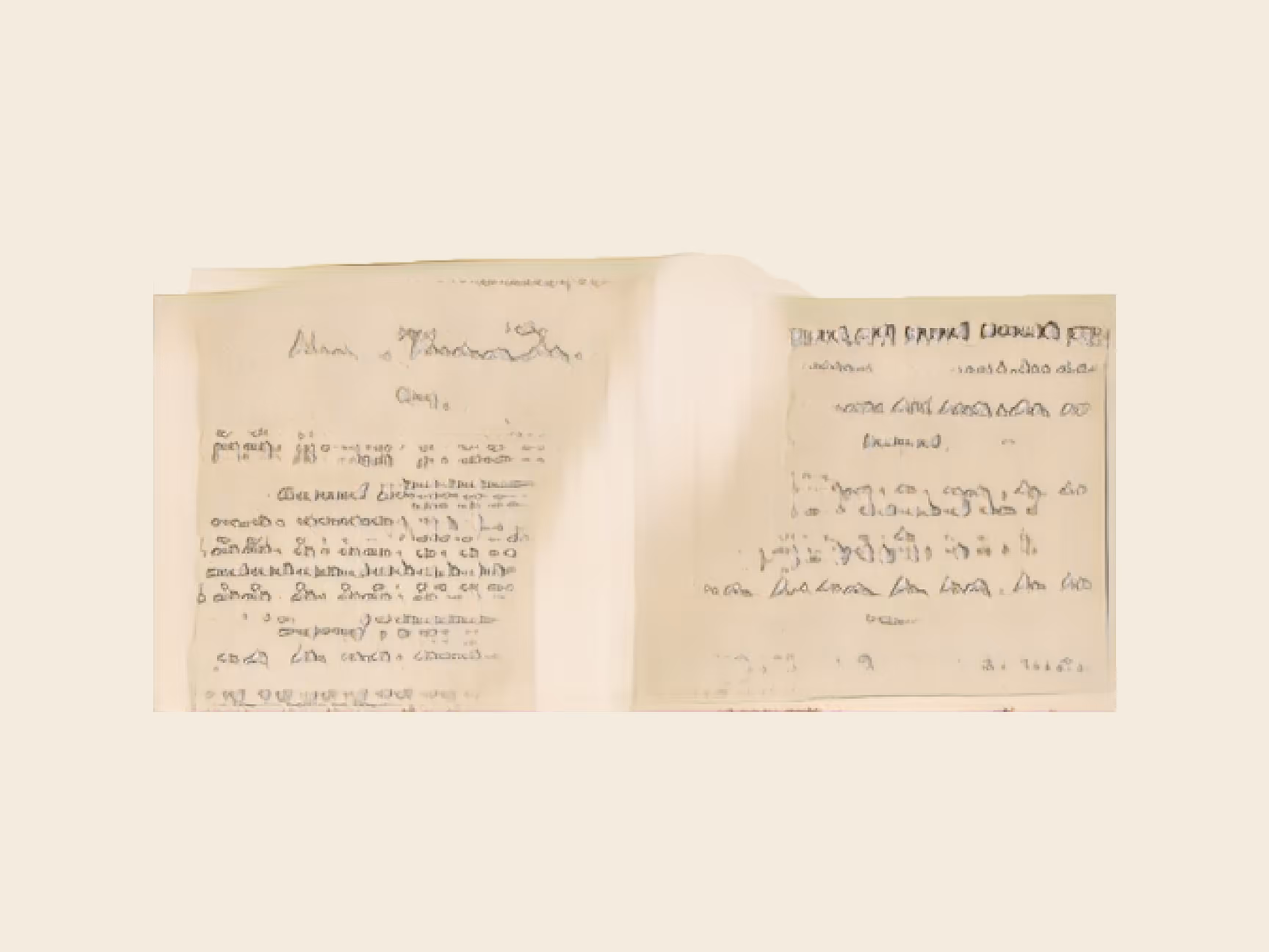 potential herbariums: instructions from a latent botanist (repairing a mountain) (study)