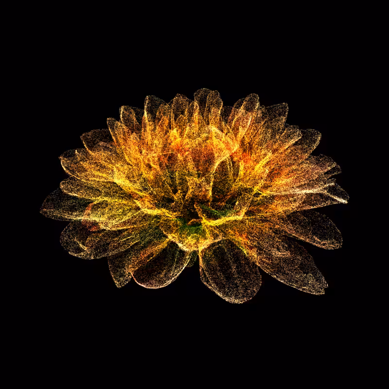 Dahlia Pinnata 30 #118