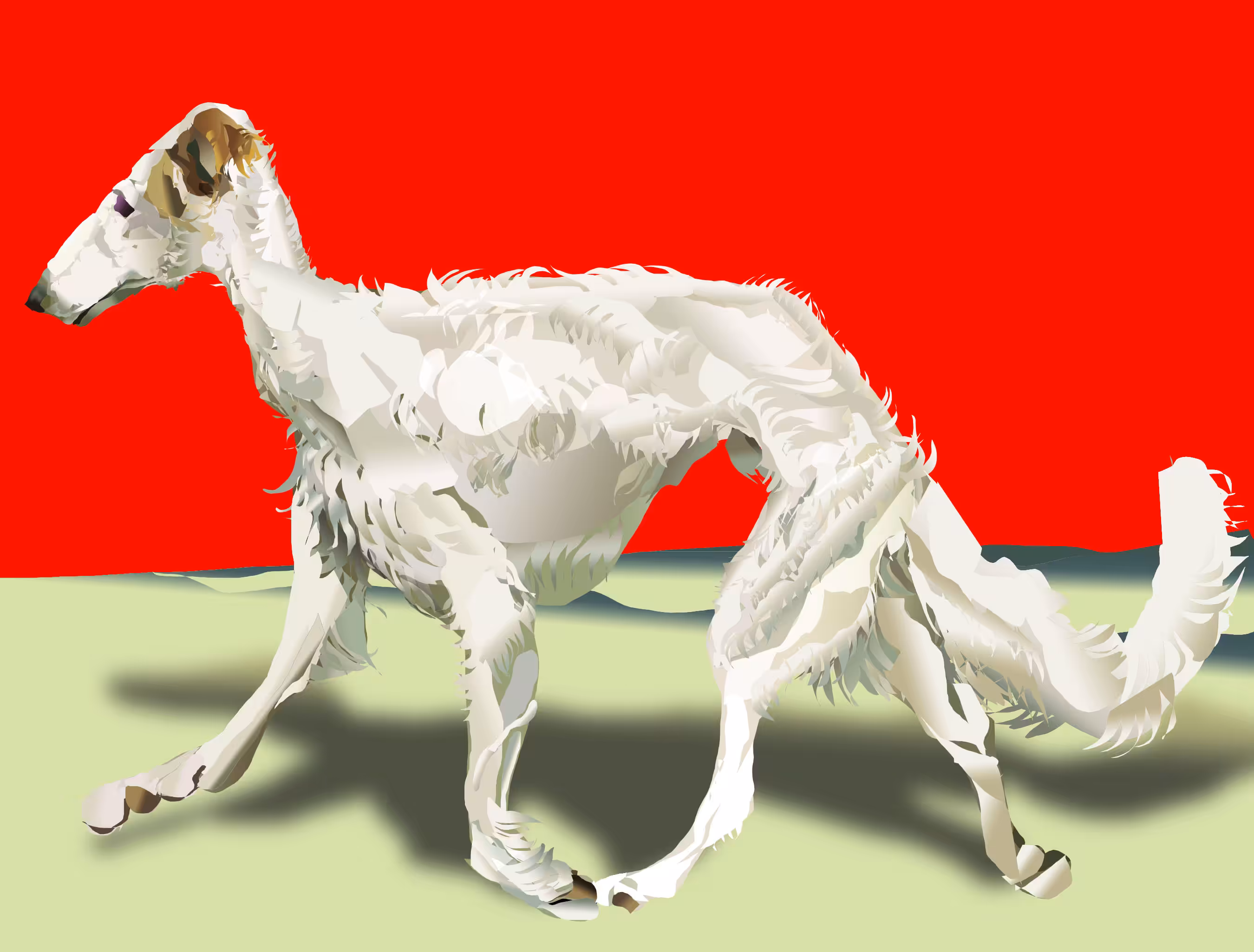 Borzoi 1