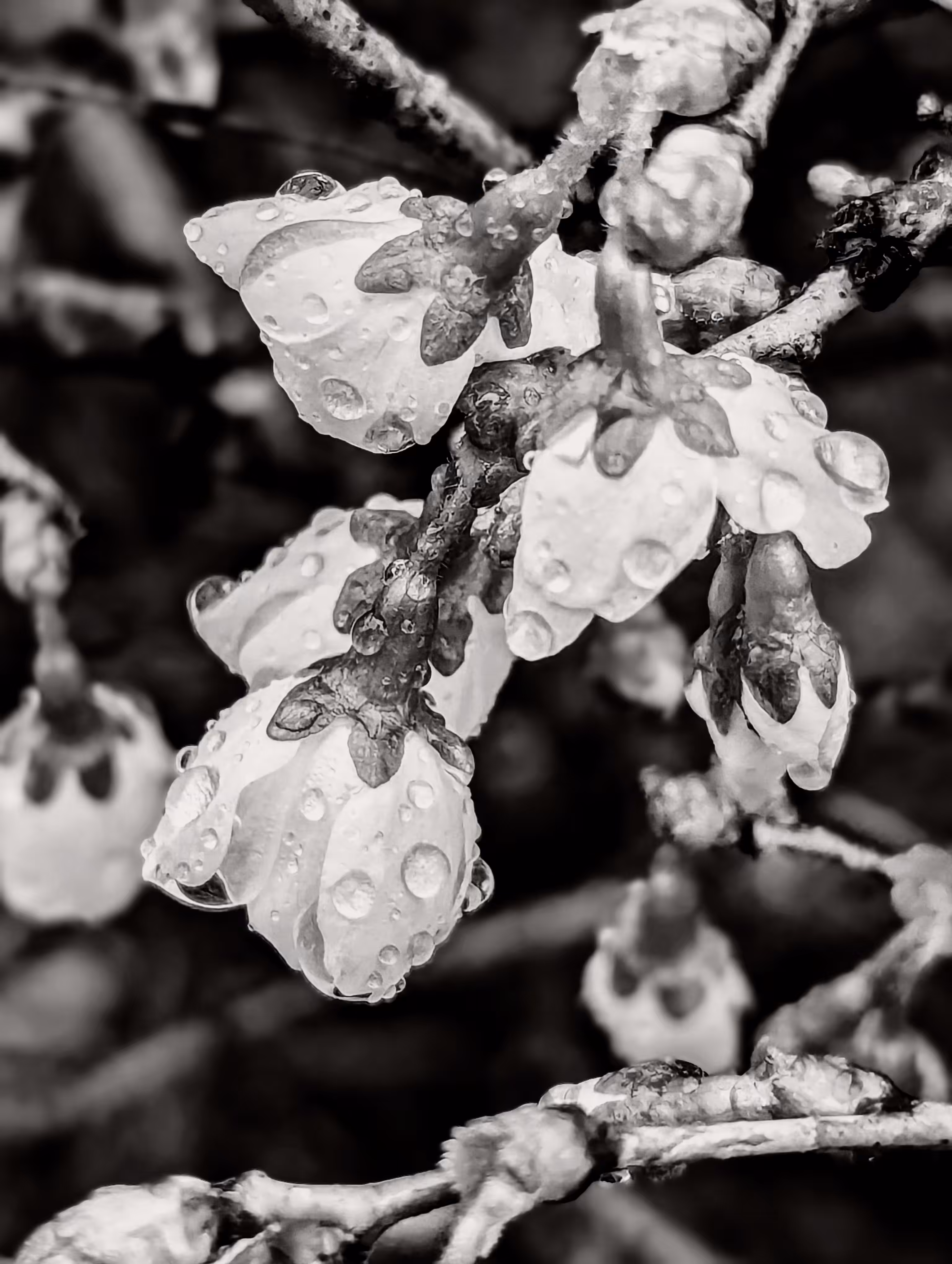 Rain on